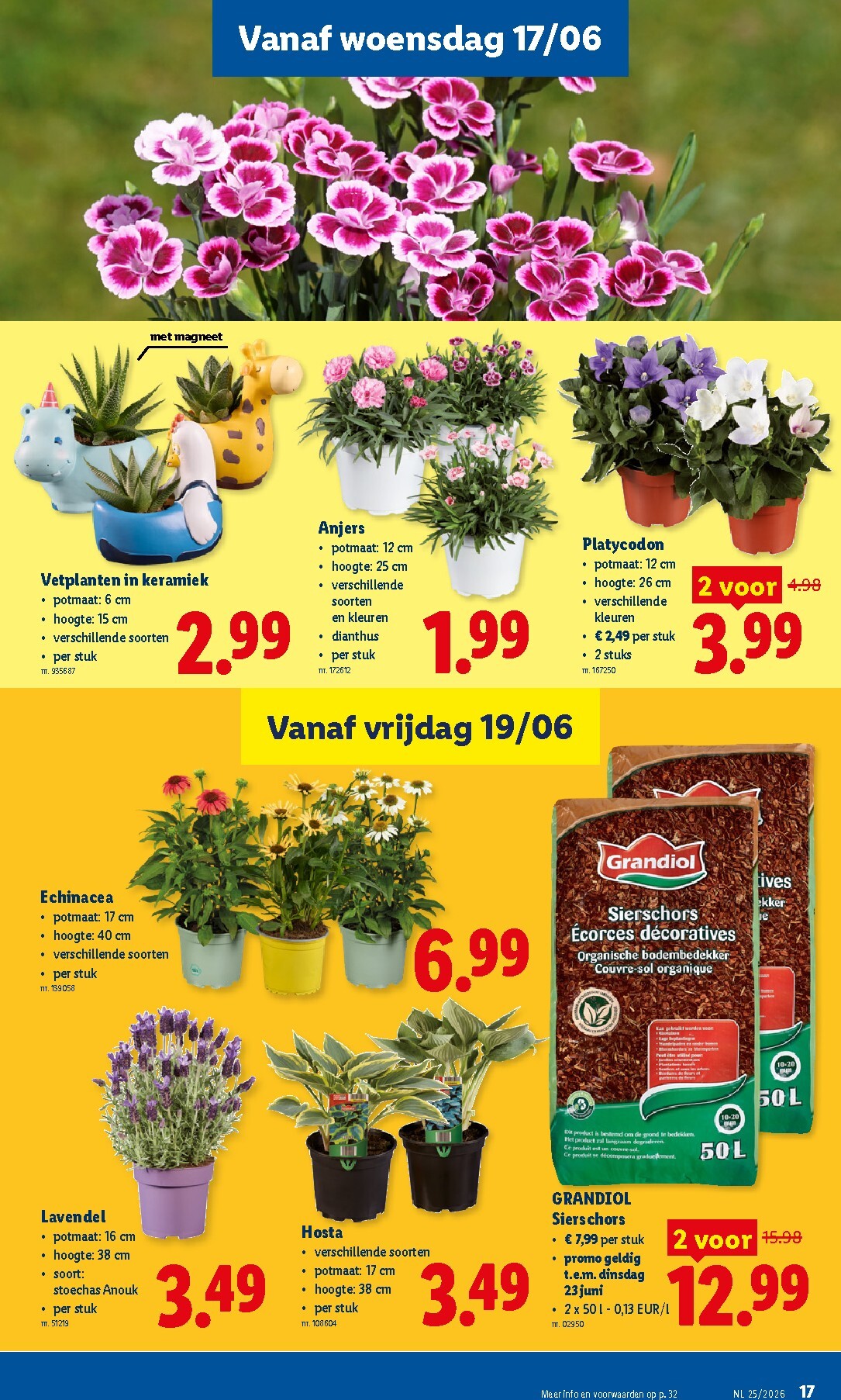 lidl - Lidl folder voor volgende week van maandag 15/06/2026 tot zaterdag 20/06/2026 - page: 17