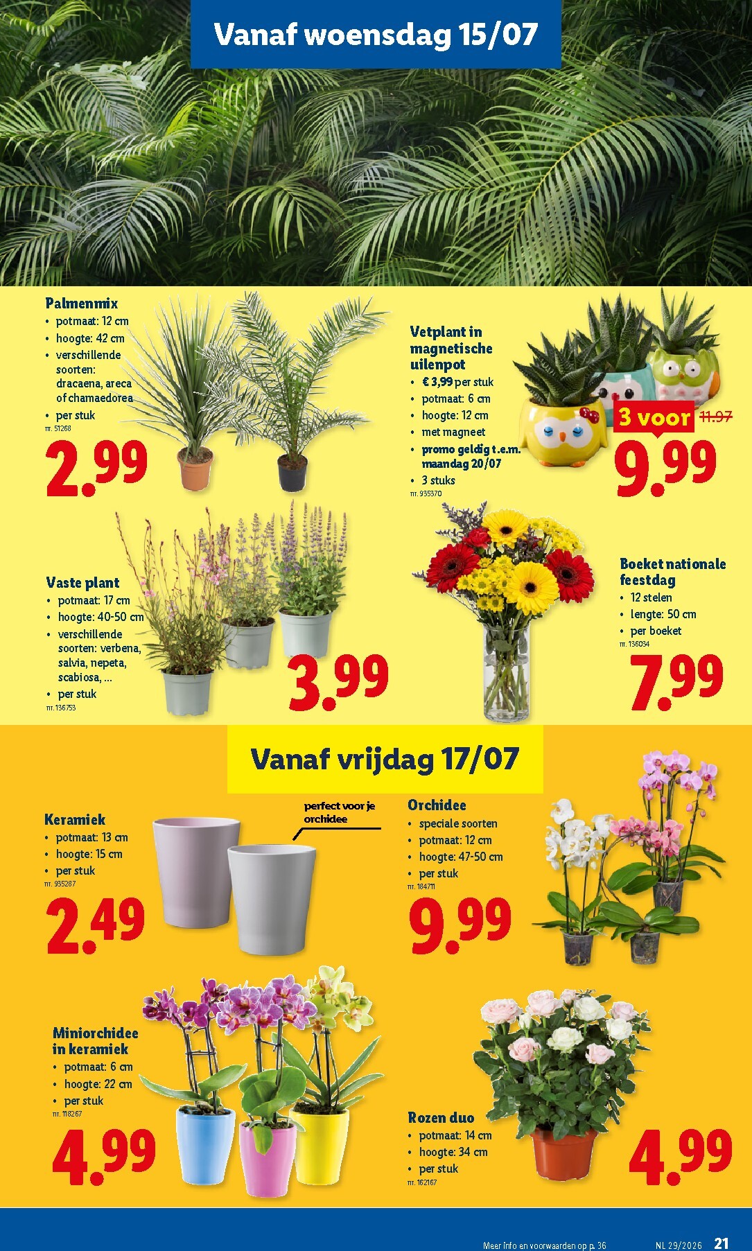 lidl - Lidl folder voor volgende week van maandag 13/07/2026 tot zaterdag 18/07/2026 - page: 21