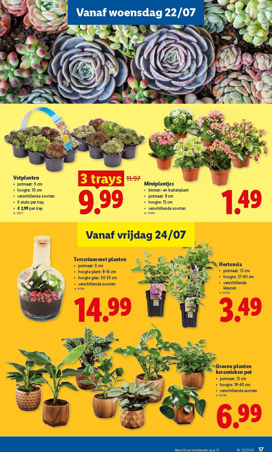 lidl - Lidl - FOLDER folder voor volgende week van maandag 20/07/2026 tot zaterdag 25/07/2026 - page: 17