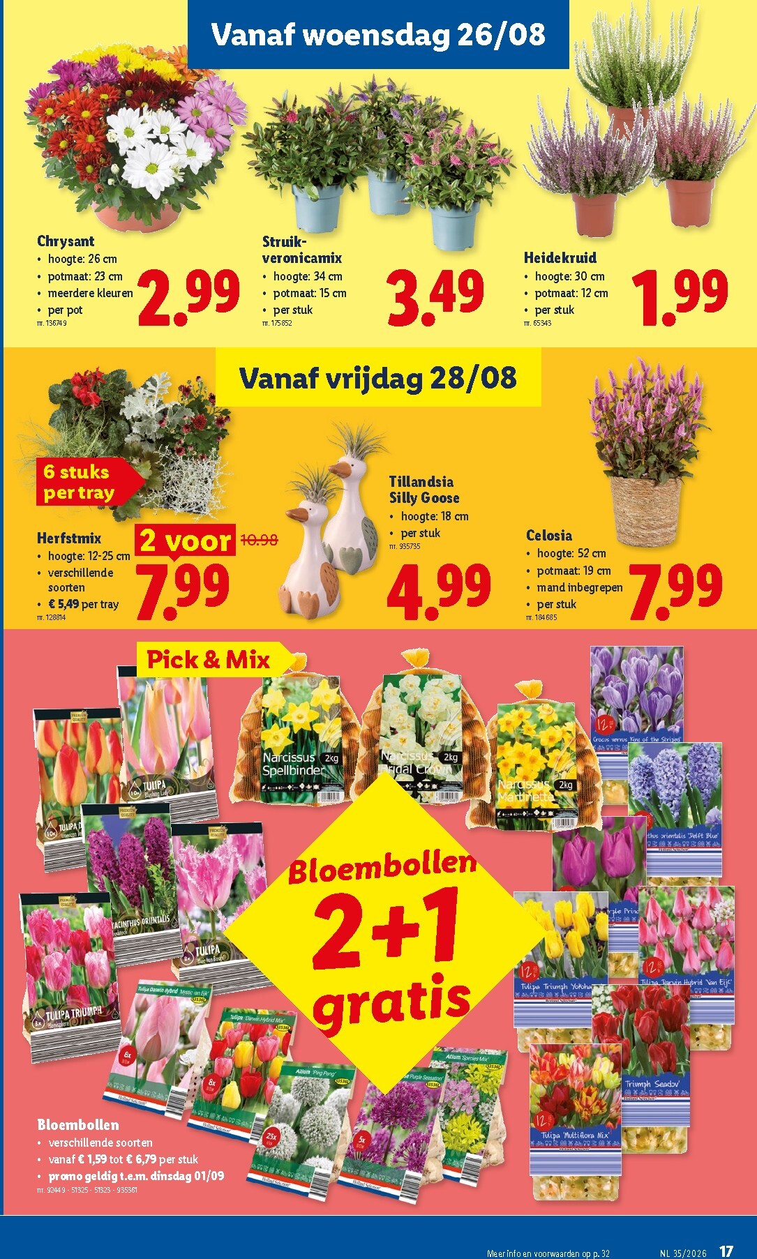 lidl - Lidl folder voor volgende week van maandag 24/08/2026 tot zaterdag 29/08/2026 - page: 17