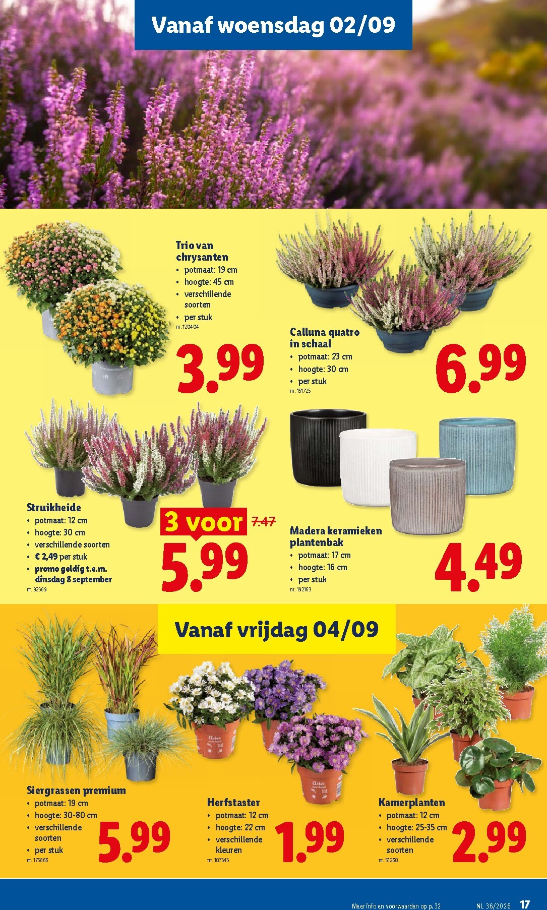 lidl - Lidl folder voor volgende week van maandag 31/08/2026 tot zaterdag 05/09/2026 - page: 17