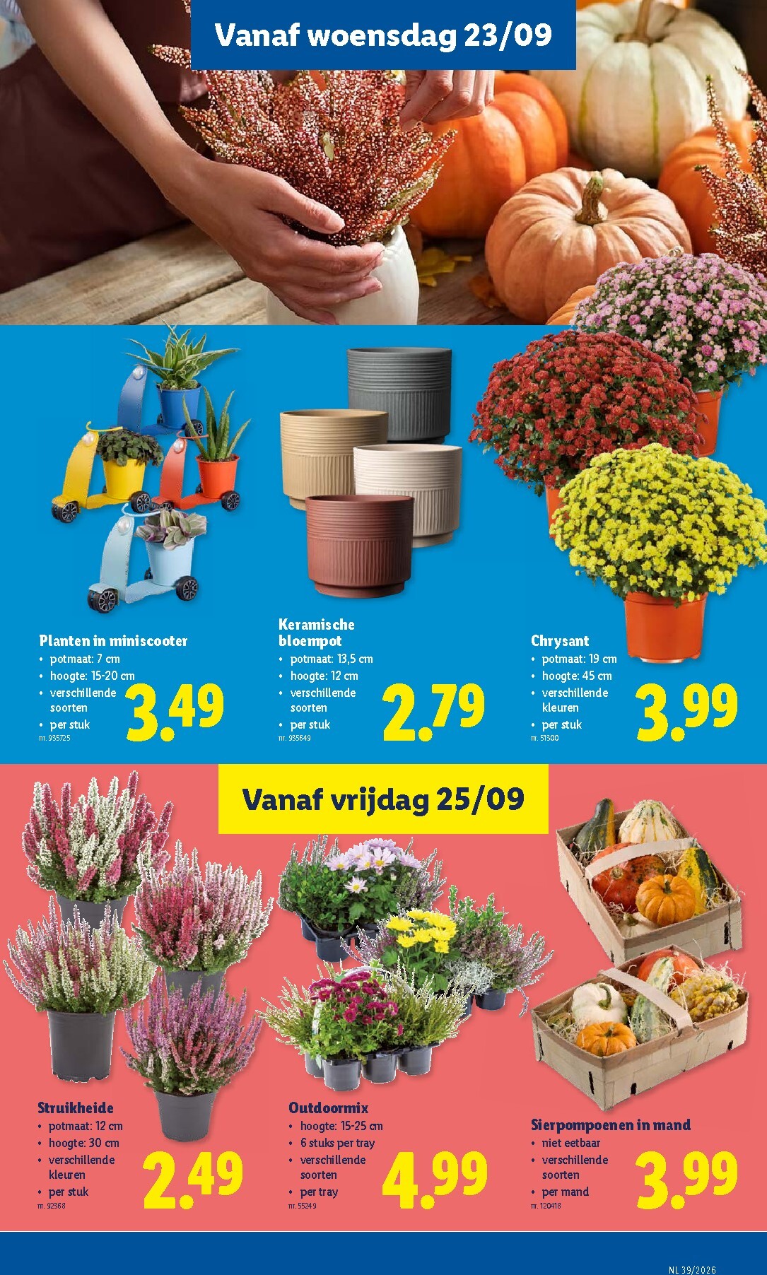 lidl - Lidl folder voor volgende week van maandag 21/09/2026 tot zaterdag 26/09/2026 - page: 19