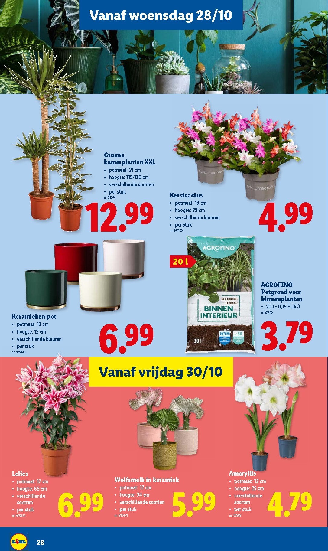 lidl - Lidl folder voor volgende week van maandag 26/10/2026 tot zaterdag 31/10/2026 - page: 28