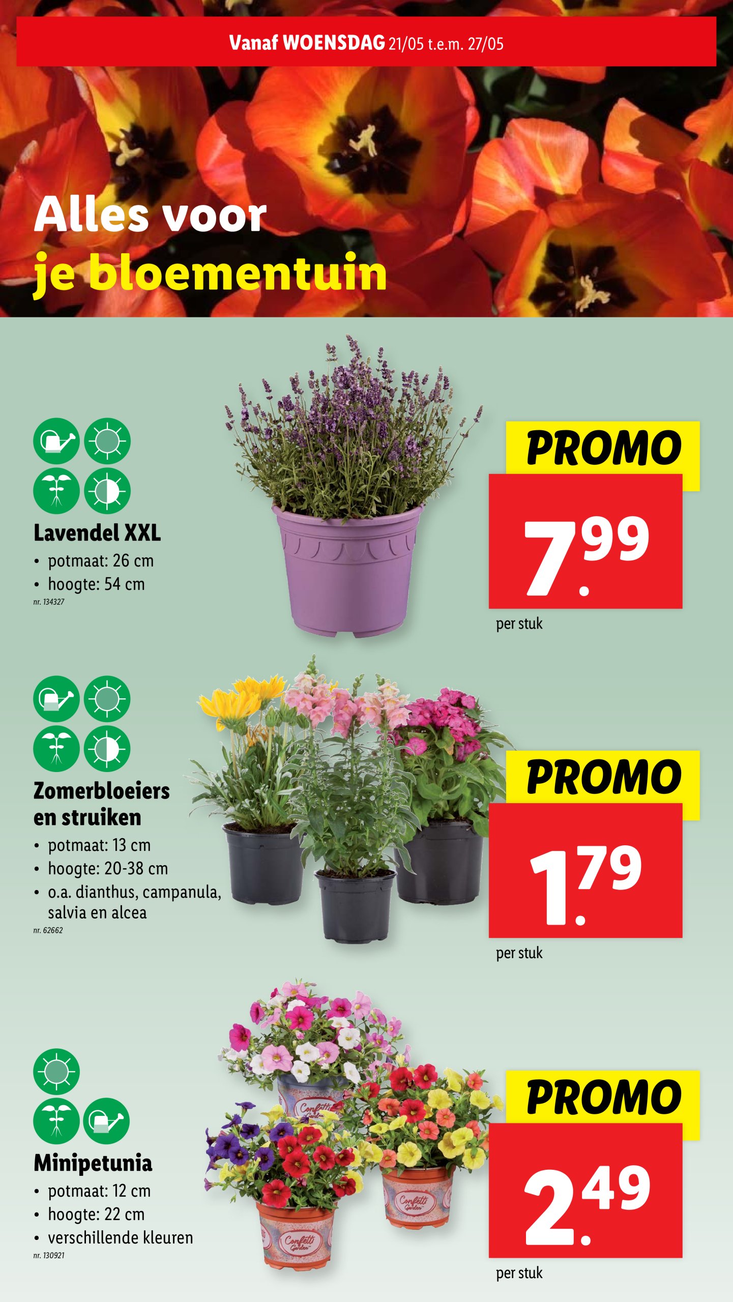 lidl - Lidl folder geldig vanaf 21/05 - 27/05 - page: 45 lidl - Lidl folder geldig vanaf 21/05 - 27/05 - page: 45