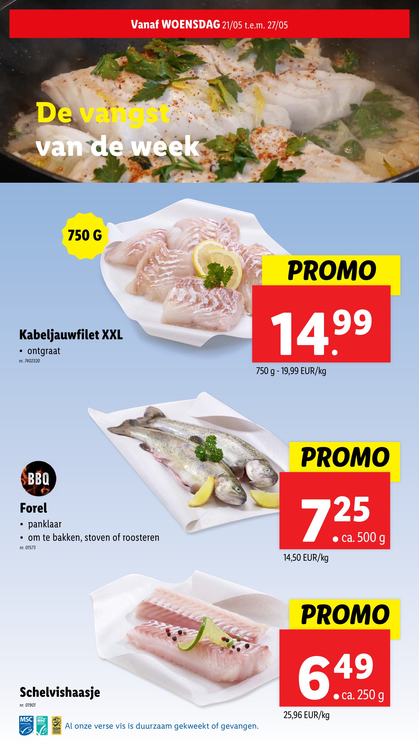 lidl - Lidl folder geldig vanaf 21/05 - 27/05 - page: 10 lidl - Lidl folder geldig vanaf 21/05 - 27/05 - page: 10