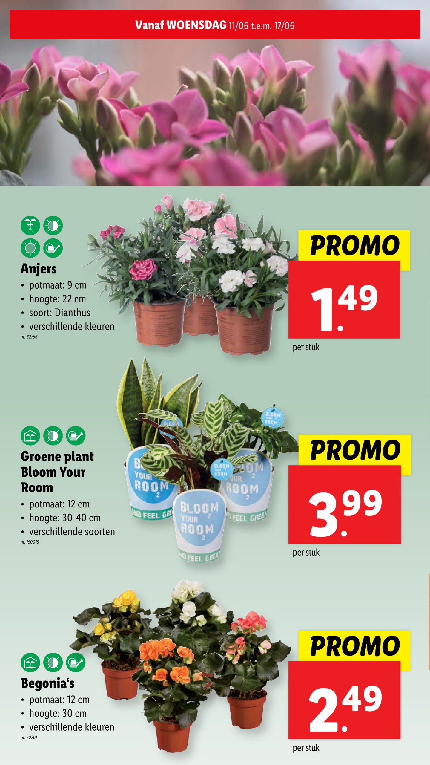 lidl - Lidl folder geldig vanaf 11/06 - 17/06 - page: 28