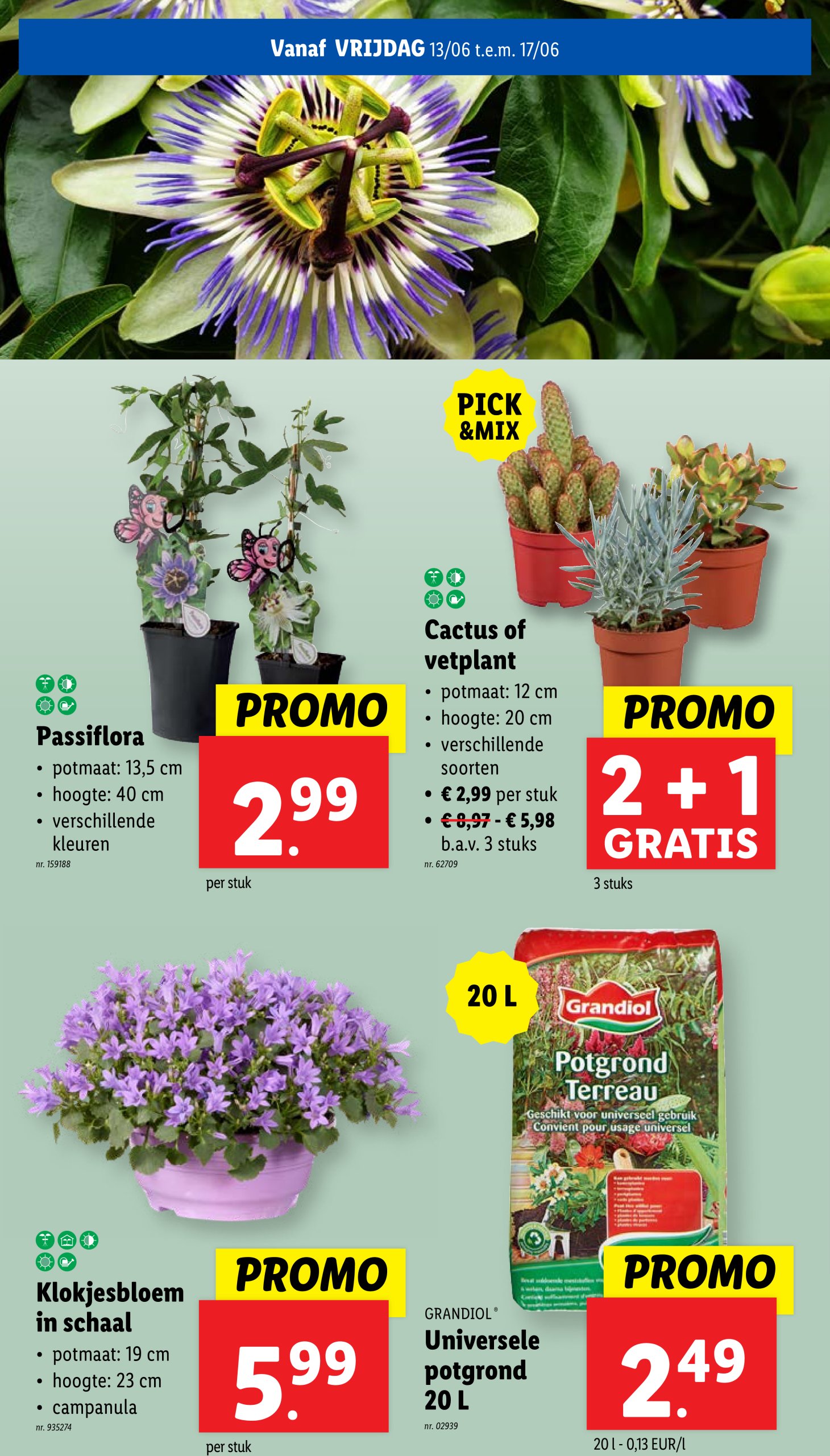 lidl - Lidl folder geldig vanaf 11/06 - 17/06 - page: 54