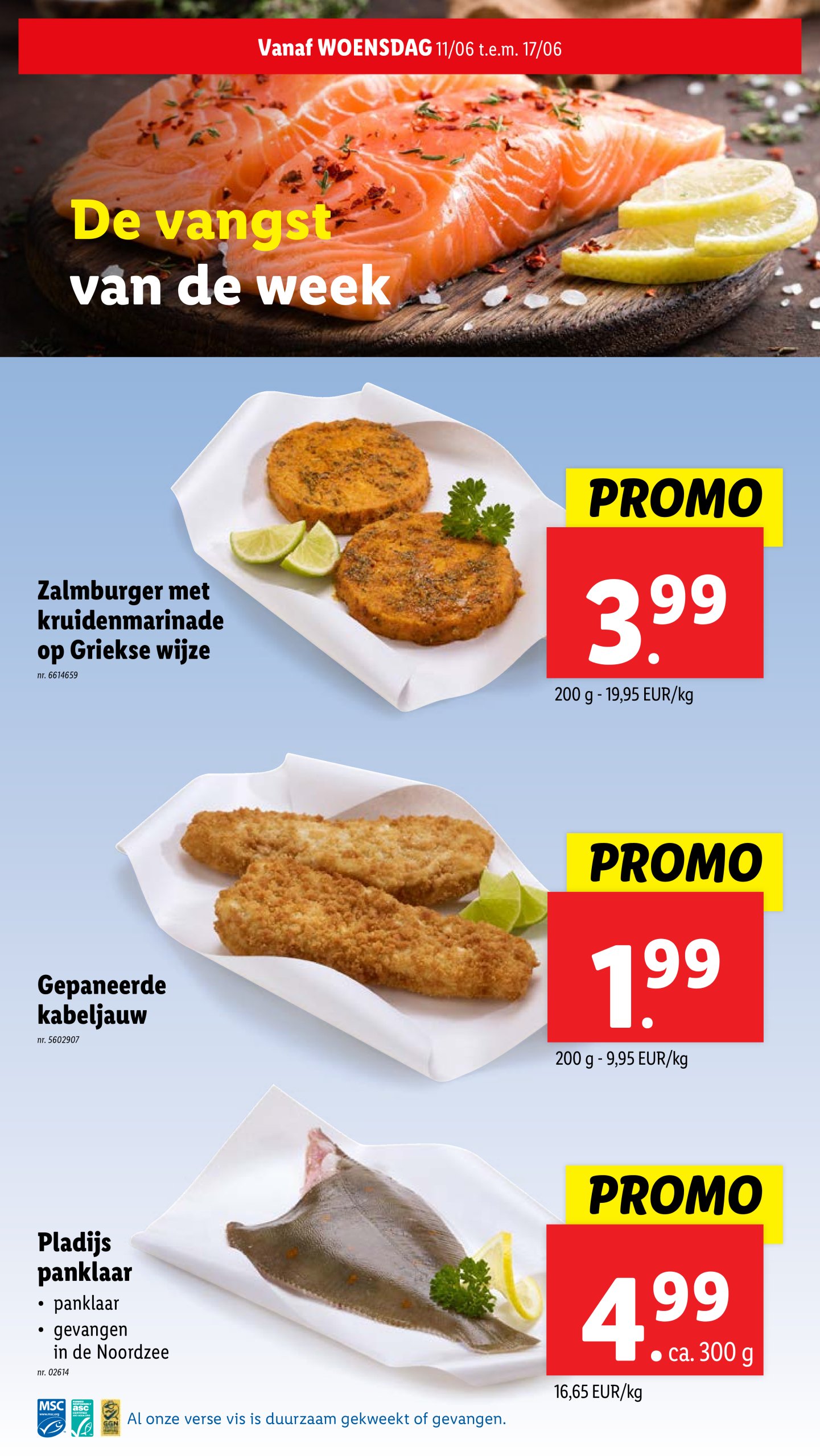 lidl - Lidl folder geldig vanaf 11/06 - 17/06 - page: 8