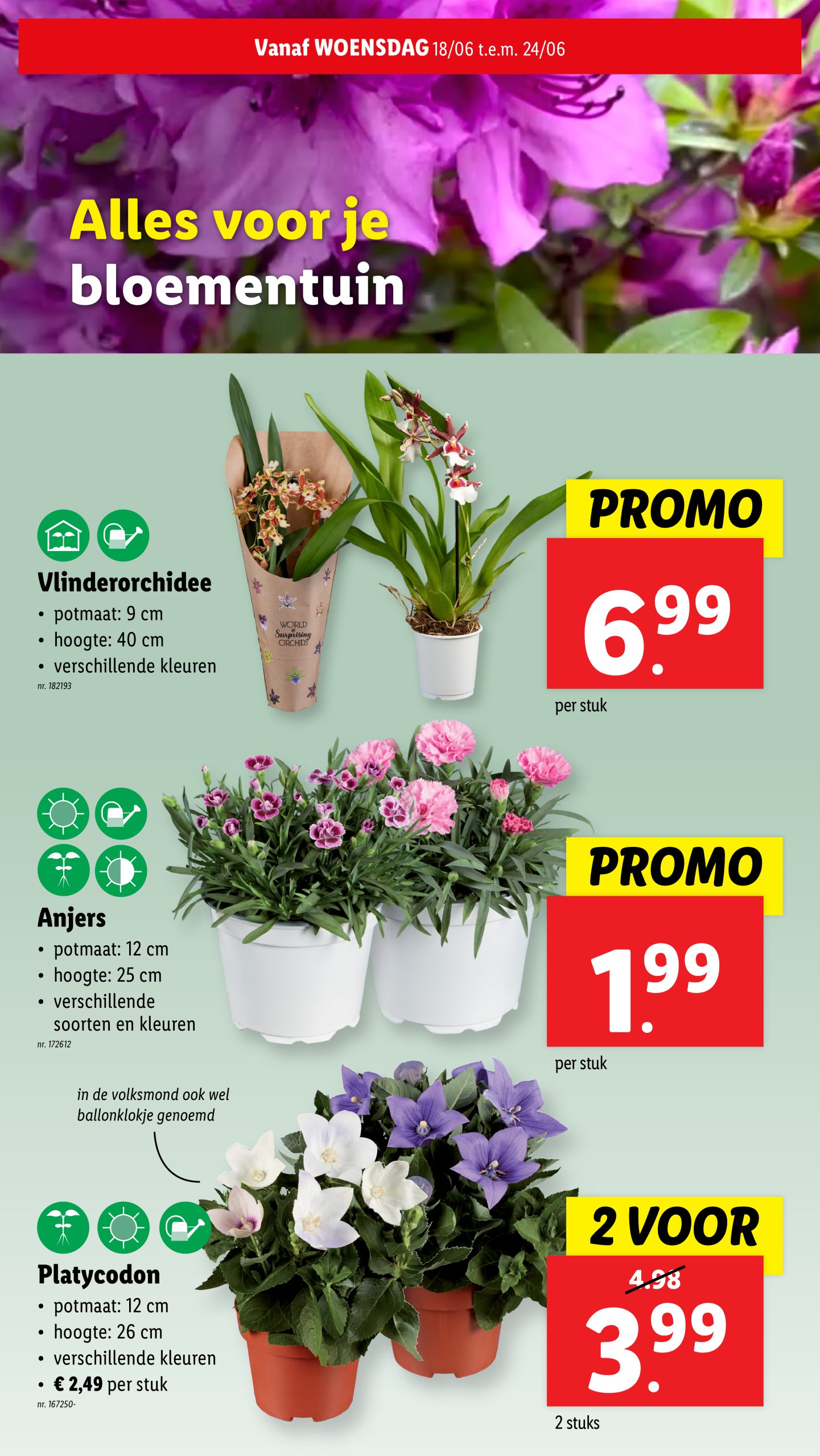 lidl - Lidl folder geldig vanaf 18/06 - 24/06 - page: 25 lidl - Lidl folder geldig vanaf 18/06 - 24/06 - page: 25