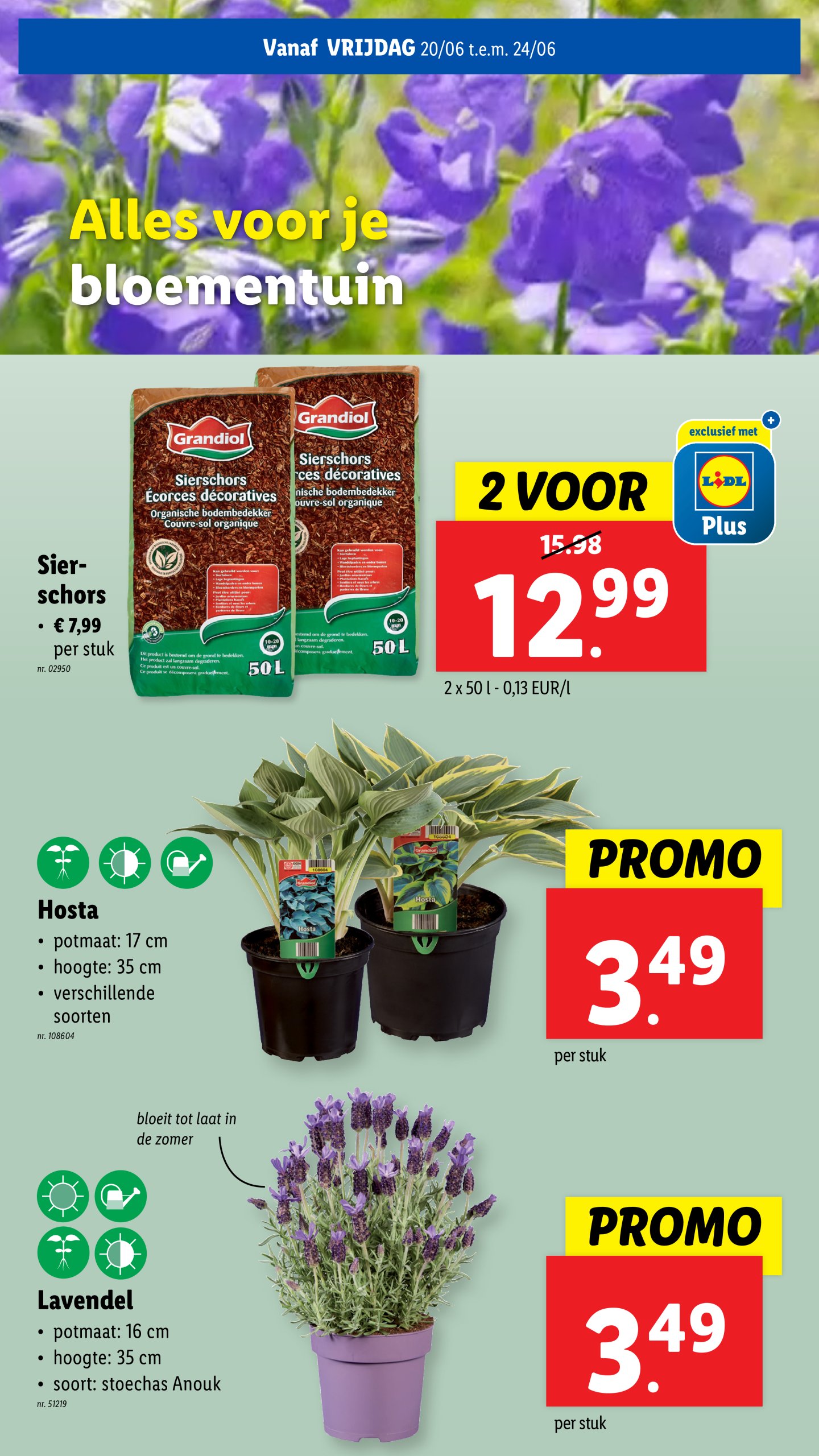 lidl - Lidl folder geldig vanaf 18/06 - 24/06 - page: 55 lidl - Lidl folder geldig vanaf 18/06 - 24/06 - page: 55