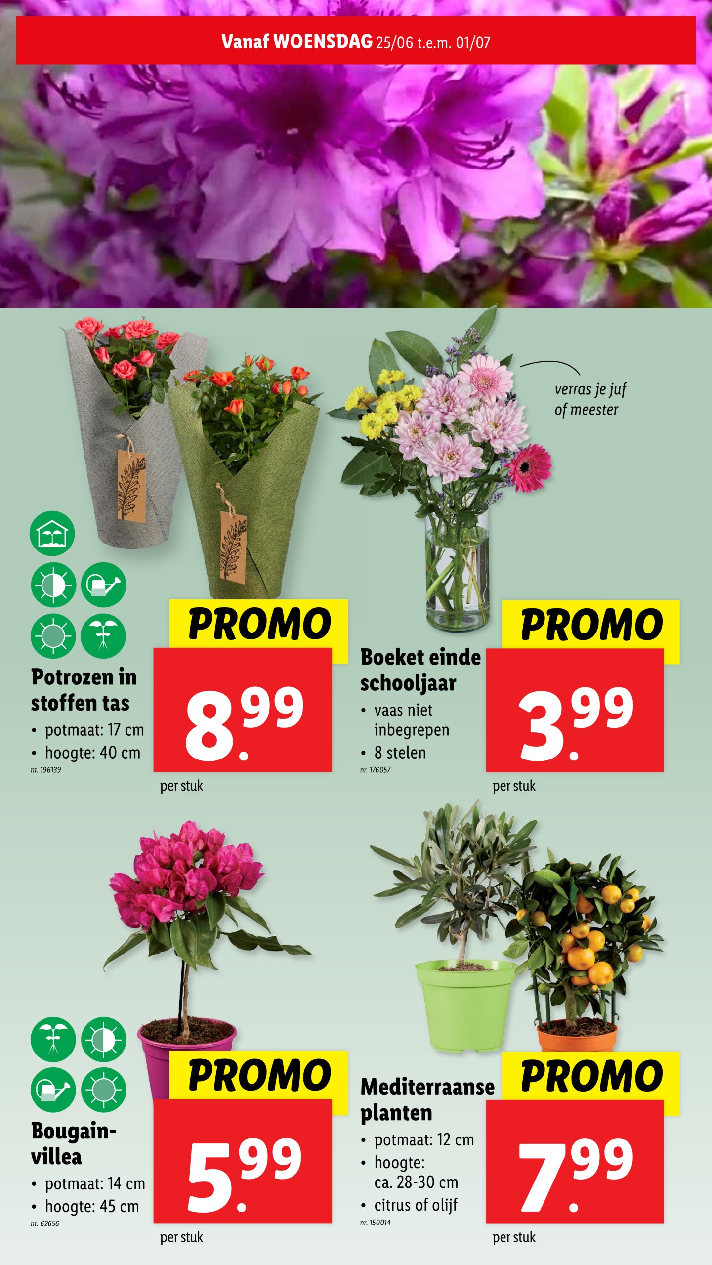 lidl - Lidl folder geldig vanaf 25/06 - 01/07 - page: 27 lidl - Lidl folder geldig vanaf 25/06 - 01/07 - page: 27
