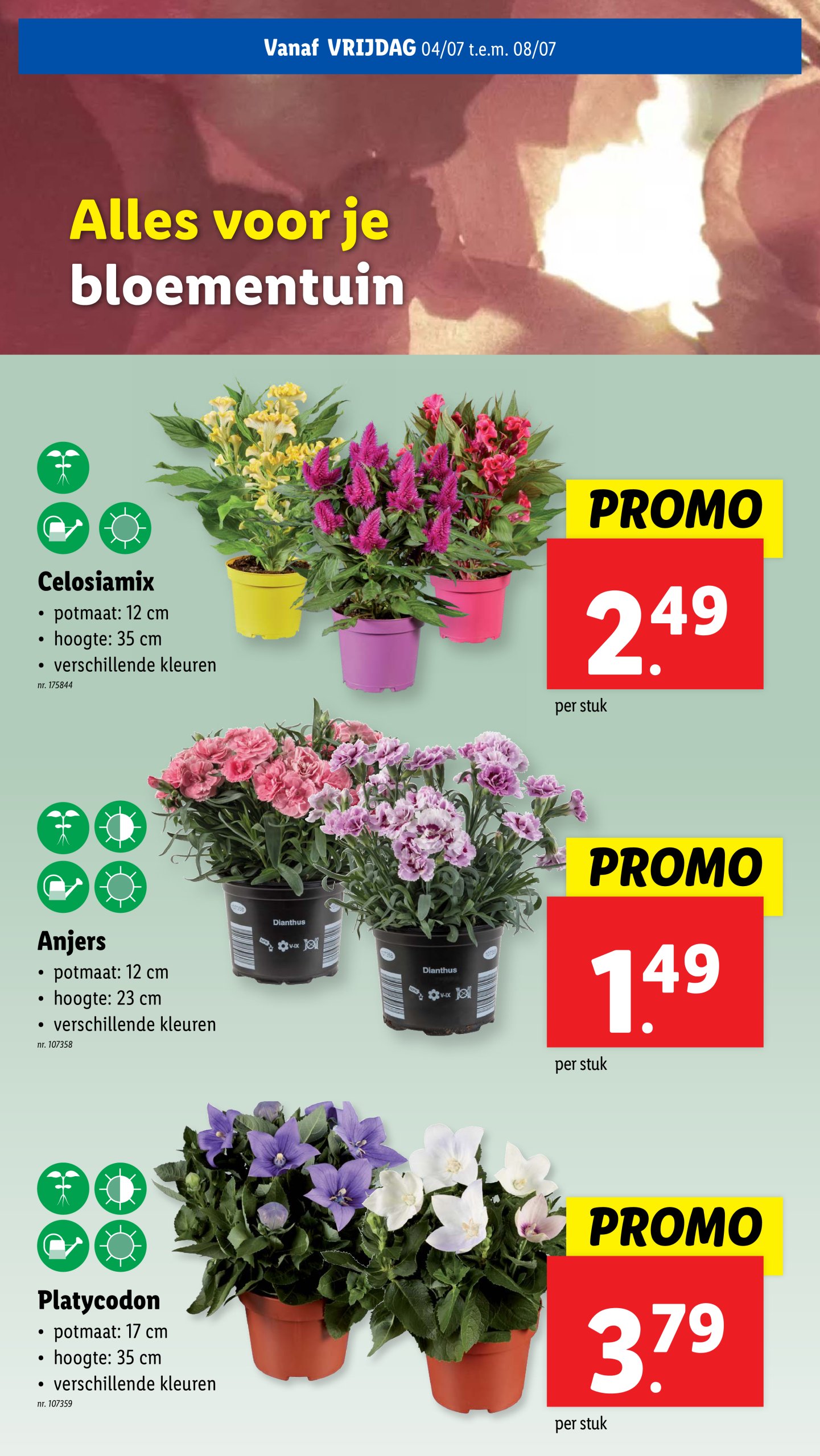lidl - Lidl folder geldig vanaf 02/07 - 08/07 - page: 53 lidl - Lidl folder geldig vanaf 02/07 - 08/07 - page: 53