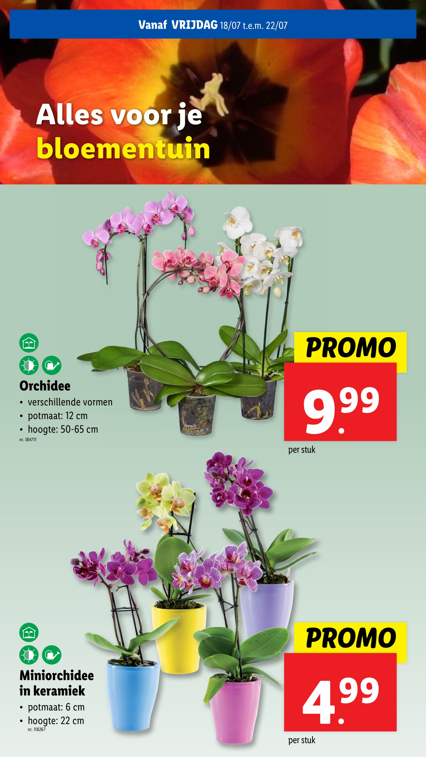 lidl - Lidl folder geldig vanaf 16/07 - 22/07 - page: 59 lidl - Lidl folder geldig vanaf 16/07 - 22/07 - page: 59