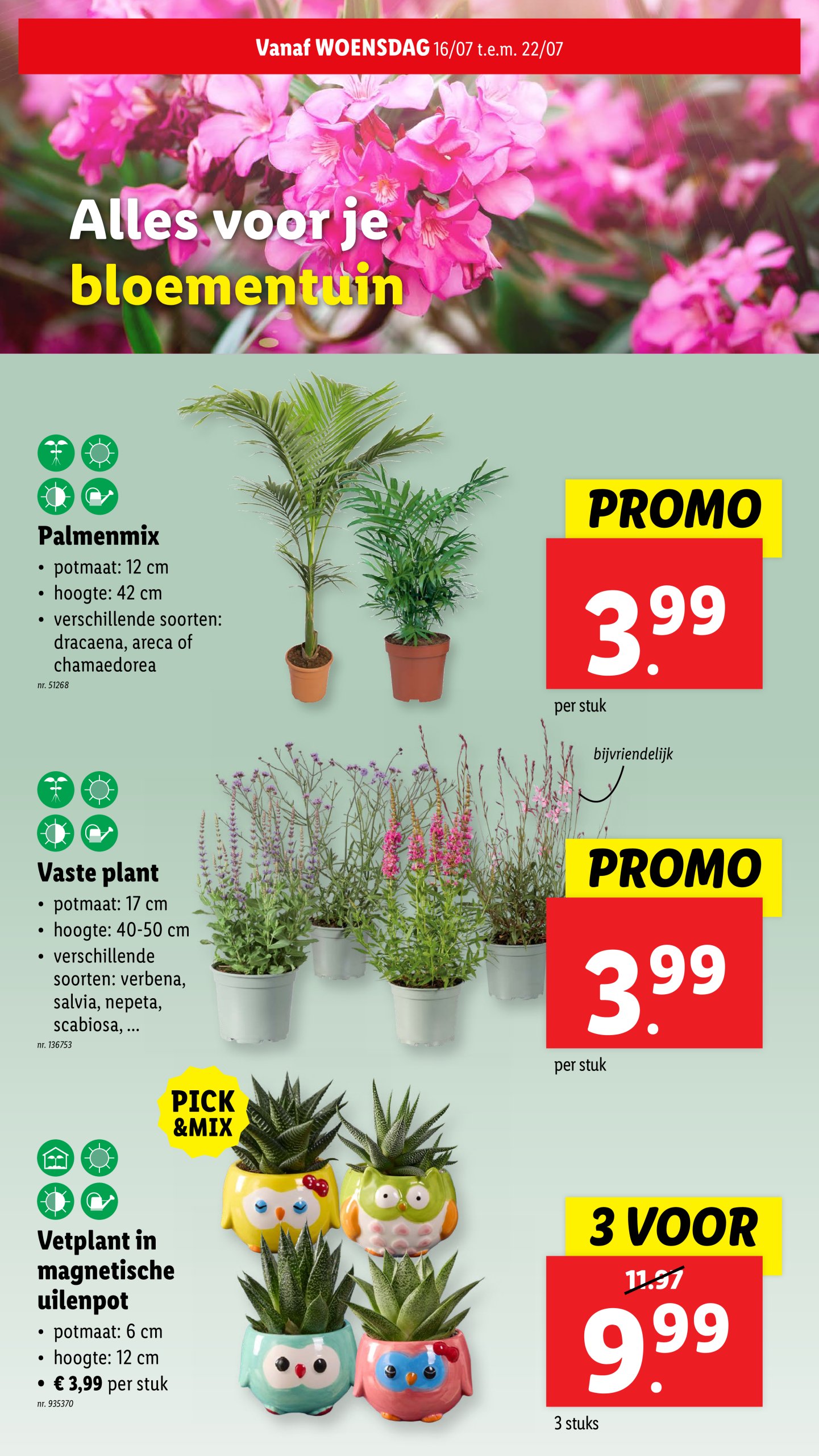 lidl - Lidl folder geldig vanaf 16/07 - 22/07 - page: 31 lidl - Lidl folder geldig vanaf 16/07 - 22/07 - page: 31