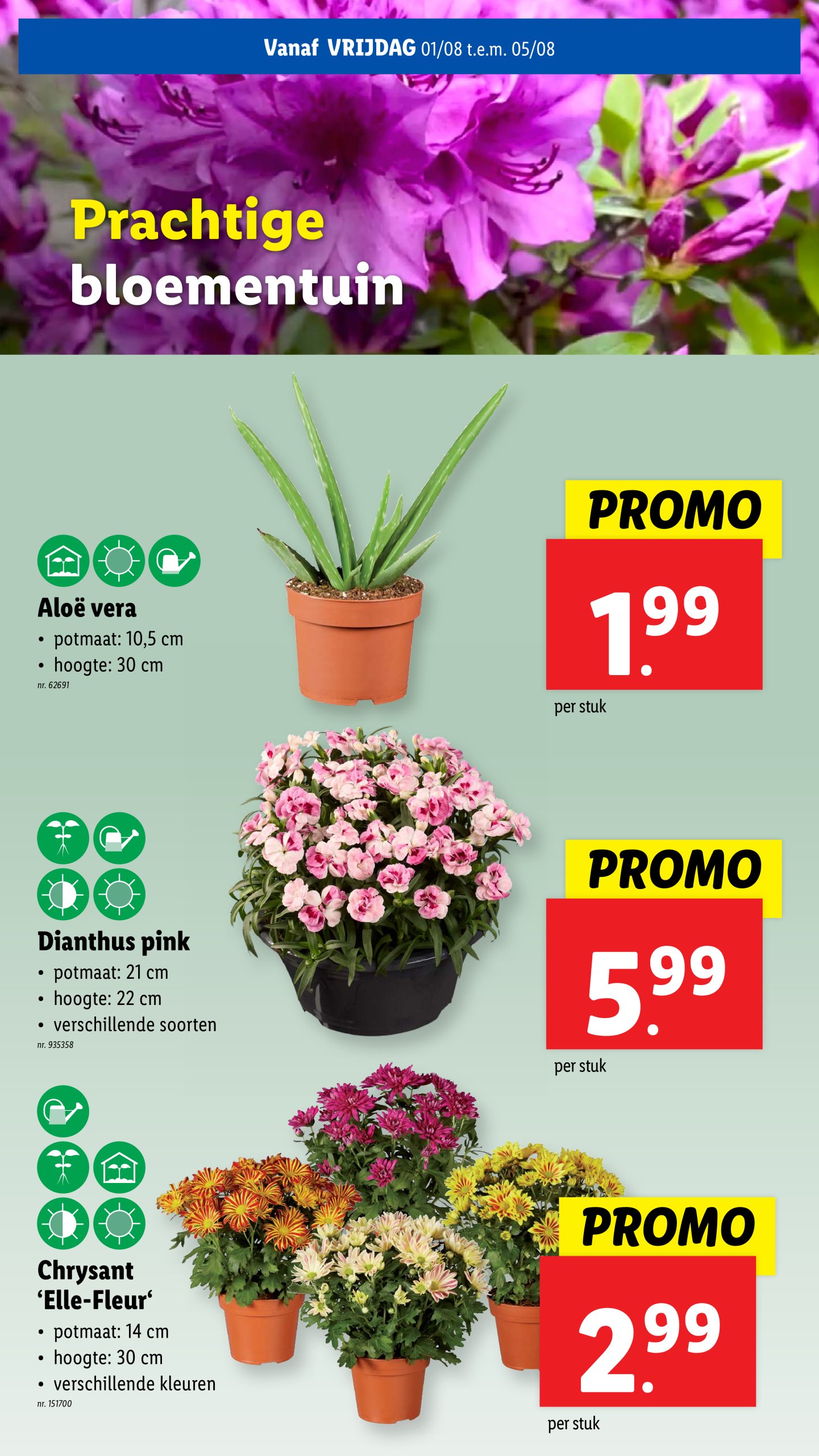 lidl - Lidl folder geldig vanaf 30/07 - 05/08 - page: 54 lidl - Lidl folder geldig vanaf 30/07 - 05/08 - page: 54