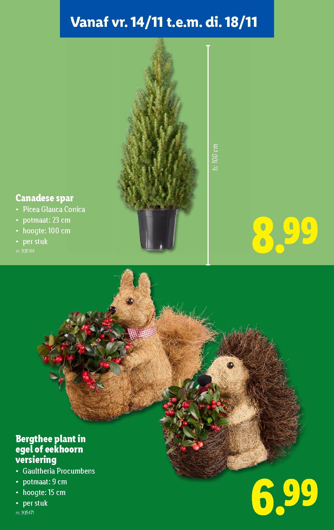 lidl - De Lidl folder geldig vanaf 12/11 t/m 18/11 - page: 43