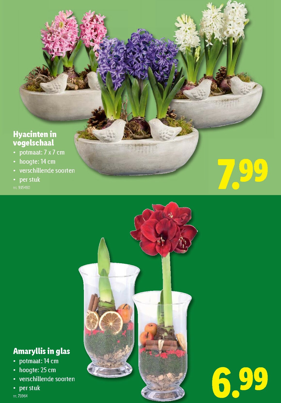 lidl - De Lidl folder geldig vanaf 19/11 t/m 25/11 - page: 62