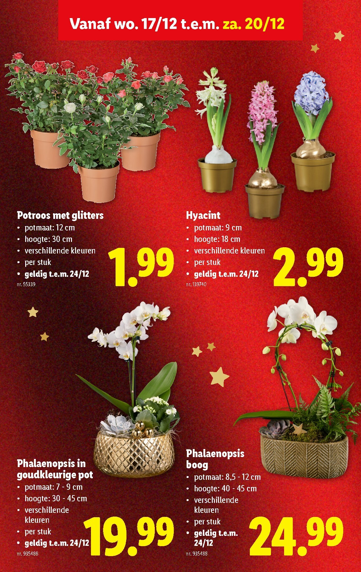 lidl - De Lidl folder geldig vanaf 17/12 t/m 23/12 - page: 43