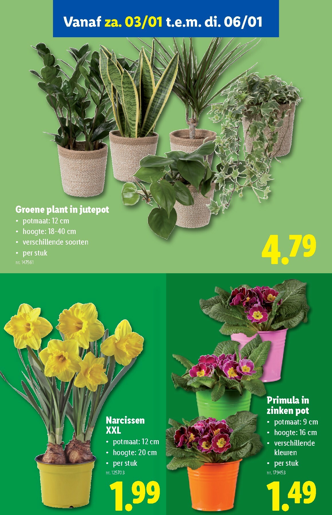 lidl - De Lidl folder geldig vanaf 29/12 t/m 06/01 - page: 44