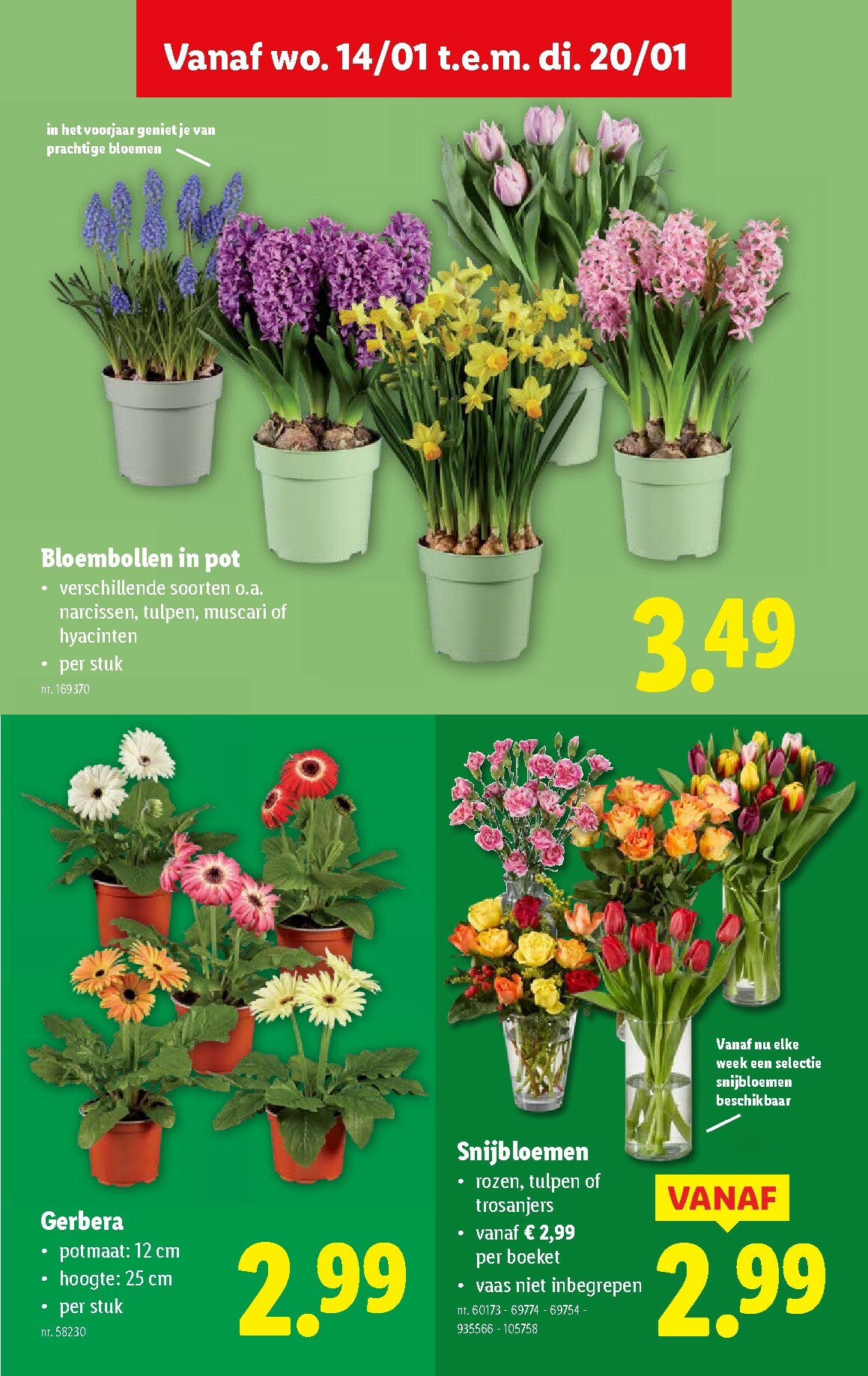 lidl - De Lidl folder geldig vanaf 14/01 t/m 20/01 - page: 35
