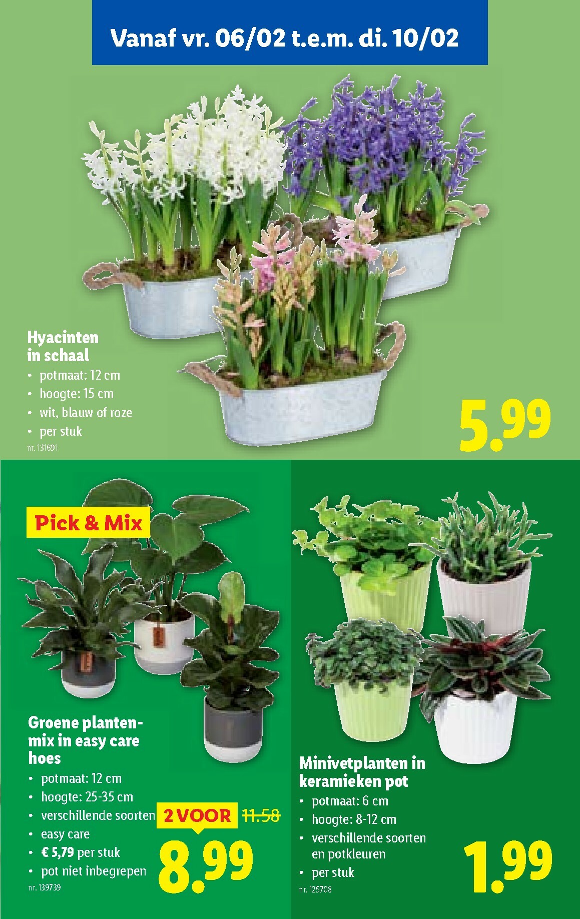 lidl - De Lidl folder geldig vanaf 04/02/2026 t/m 10/02/2026 - page: 49