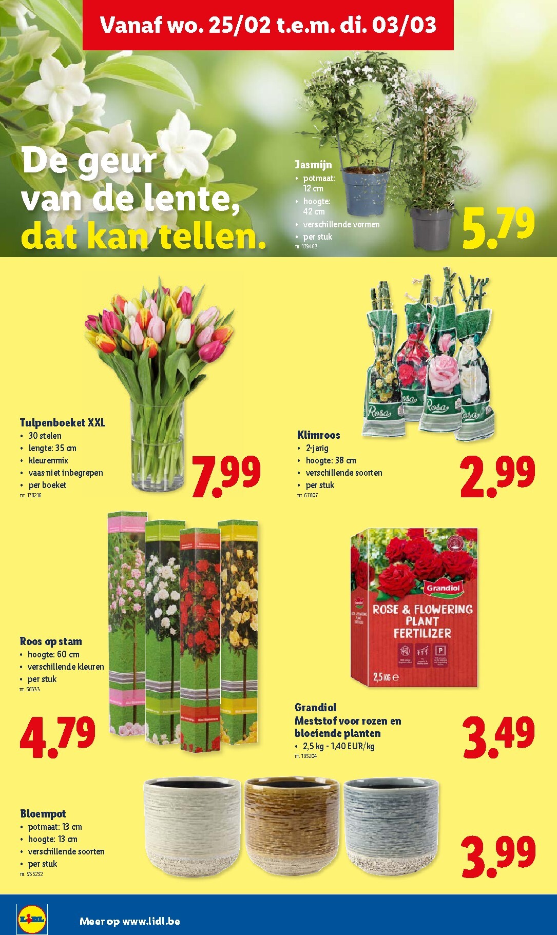 lidl - De Lidl folder geldig vanaf 25/02/2026 t/m 03/03/2026 - page: 20