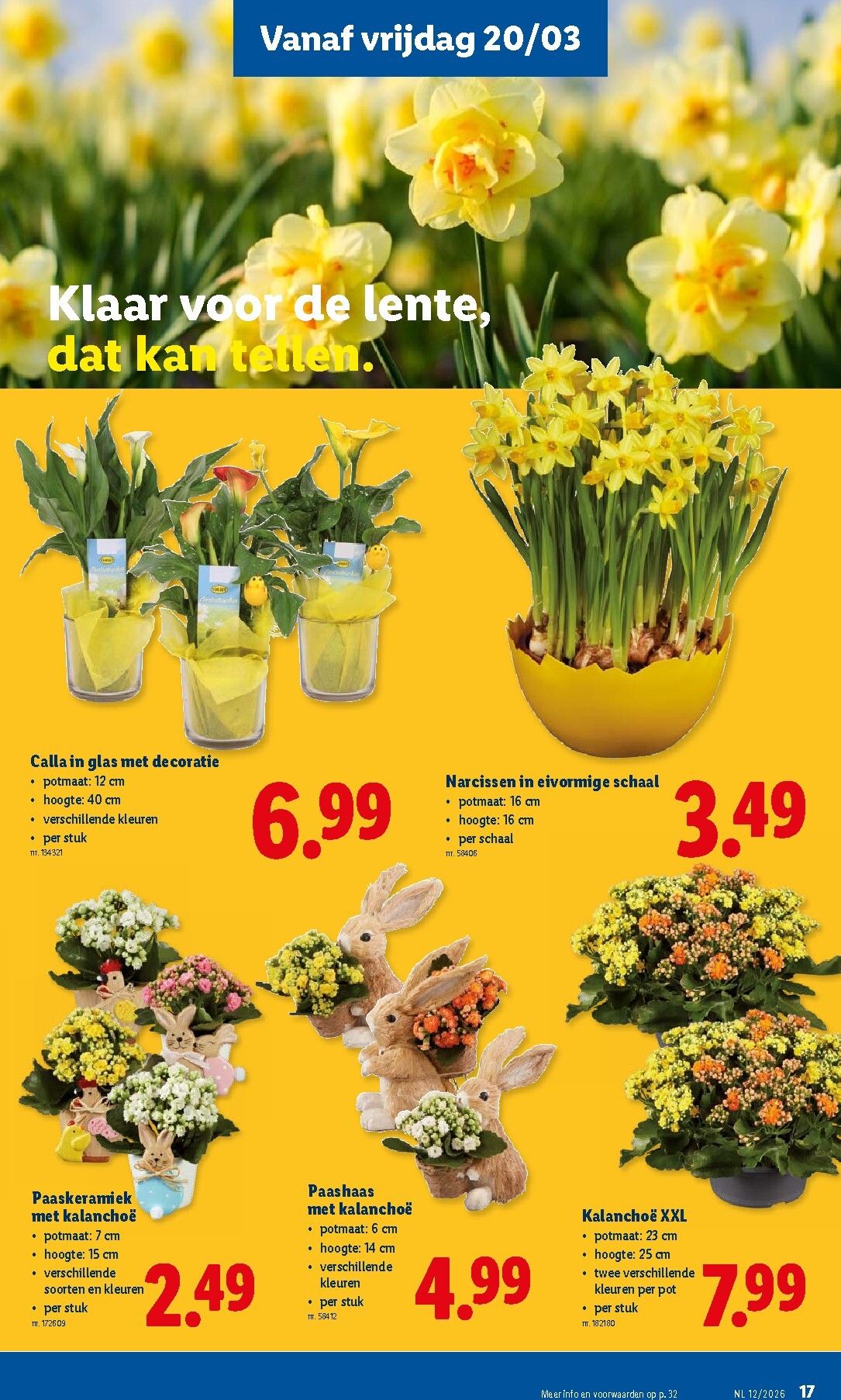 lidl - De Lidl folder geldig vanaf 18/03/2026 t/m 24/03/2026 - page: 17
