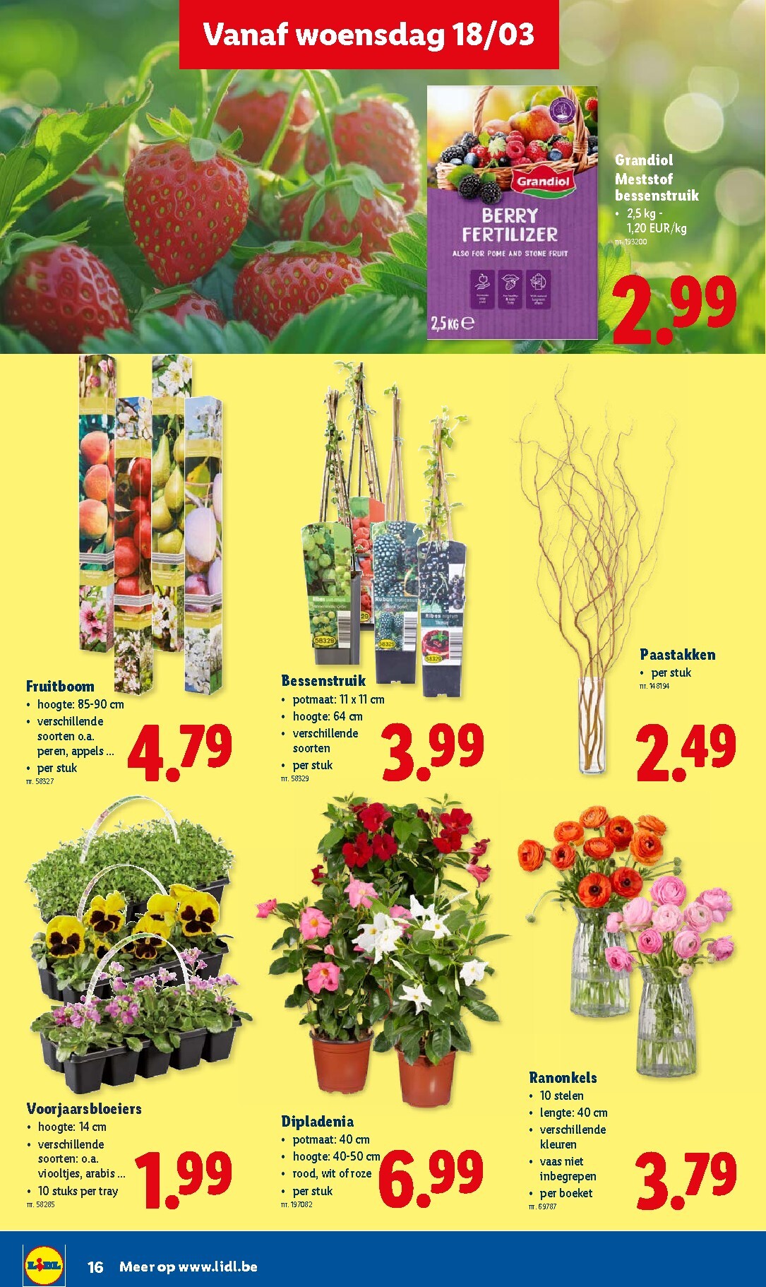 lidl - De Lidl folder geldig vanaf 18/03/2026 t/m 24/03/2026 - page: 16