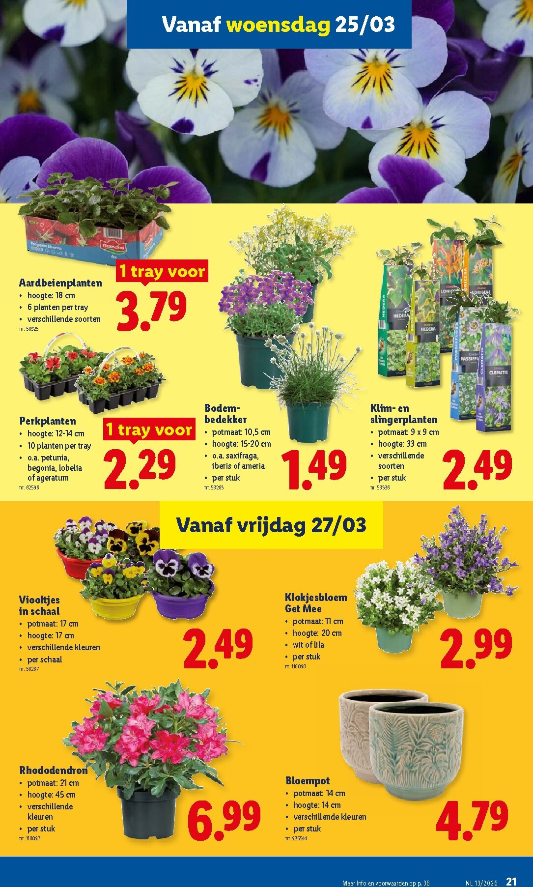 lidl - De Lidl folder geldig vanaf 23/03/2026 t/m 28/03/2026 - page: 21