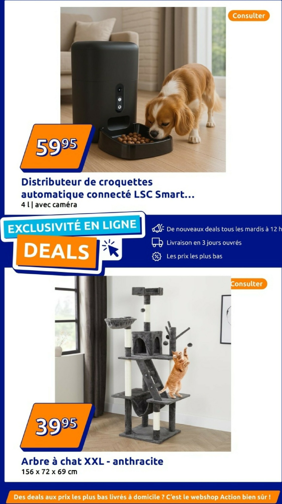 action - De Action folder geldig vanaf 28/01 t/m 03/02 - page: 38