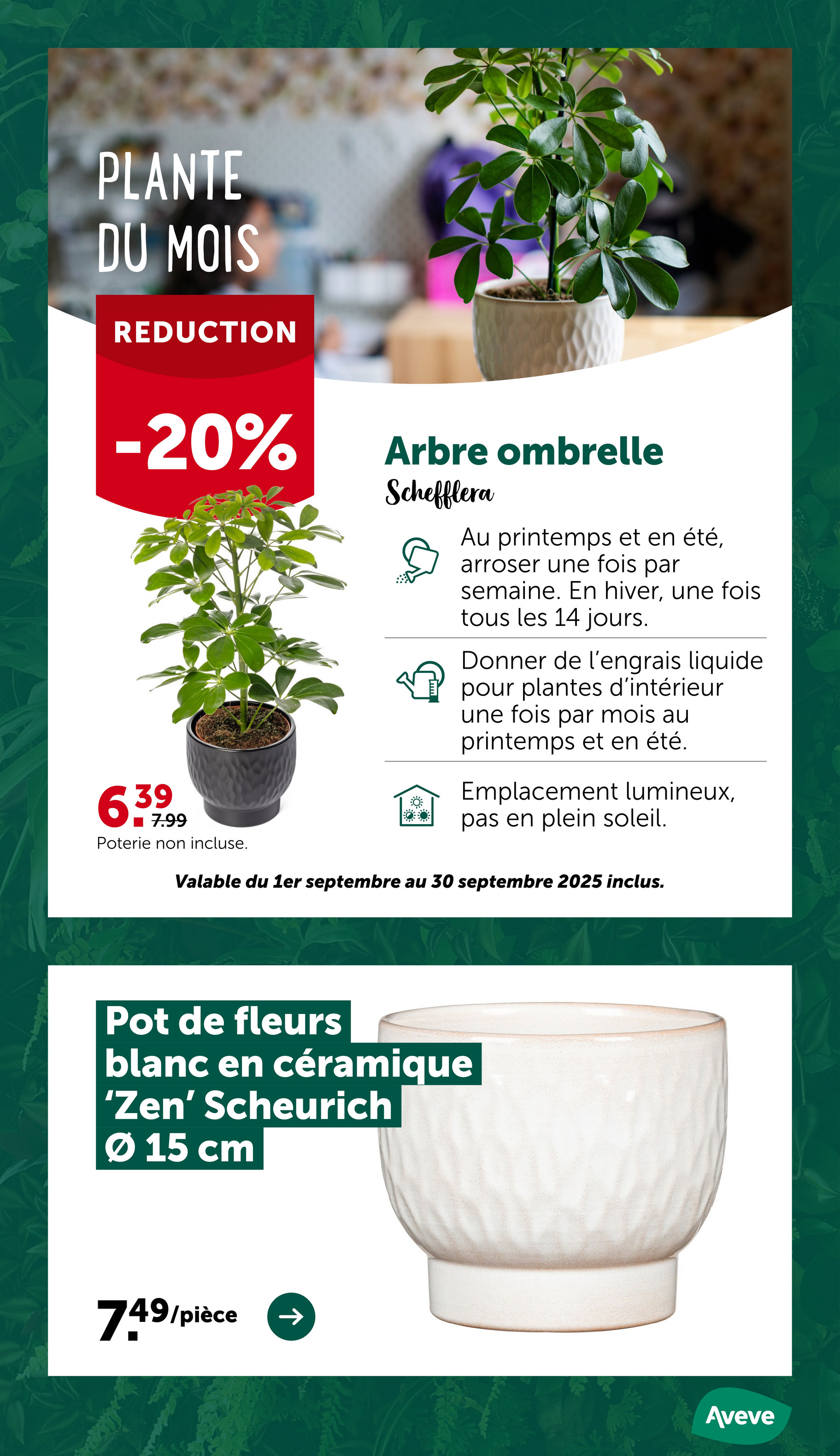 aveve - Aveve folder geldig vanaf 10/09 - 21/09 - page: 8