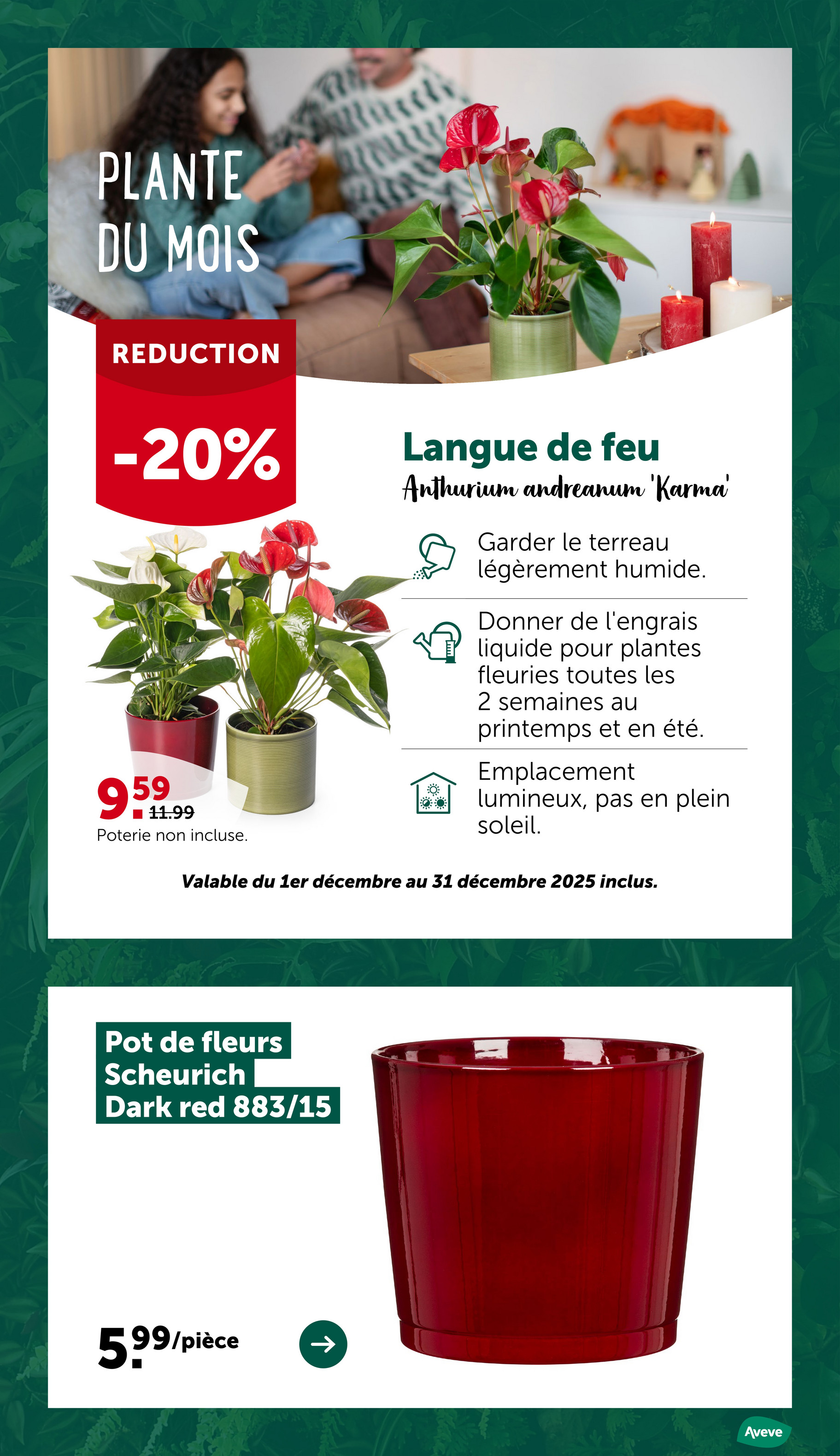 aveve - De Aveve folder geldig vanaf 26/11 t/m 07/12 - page: 26