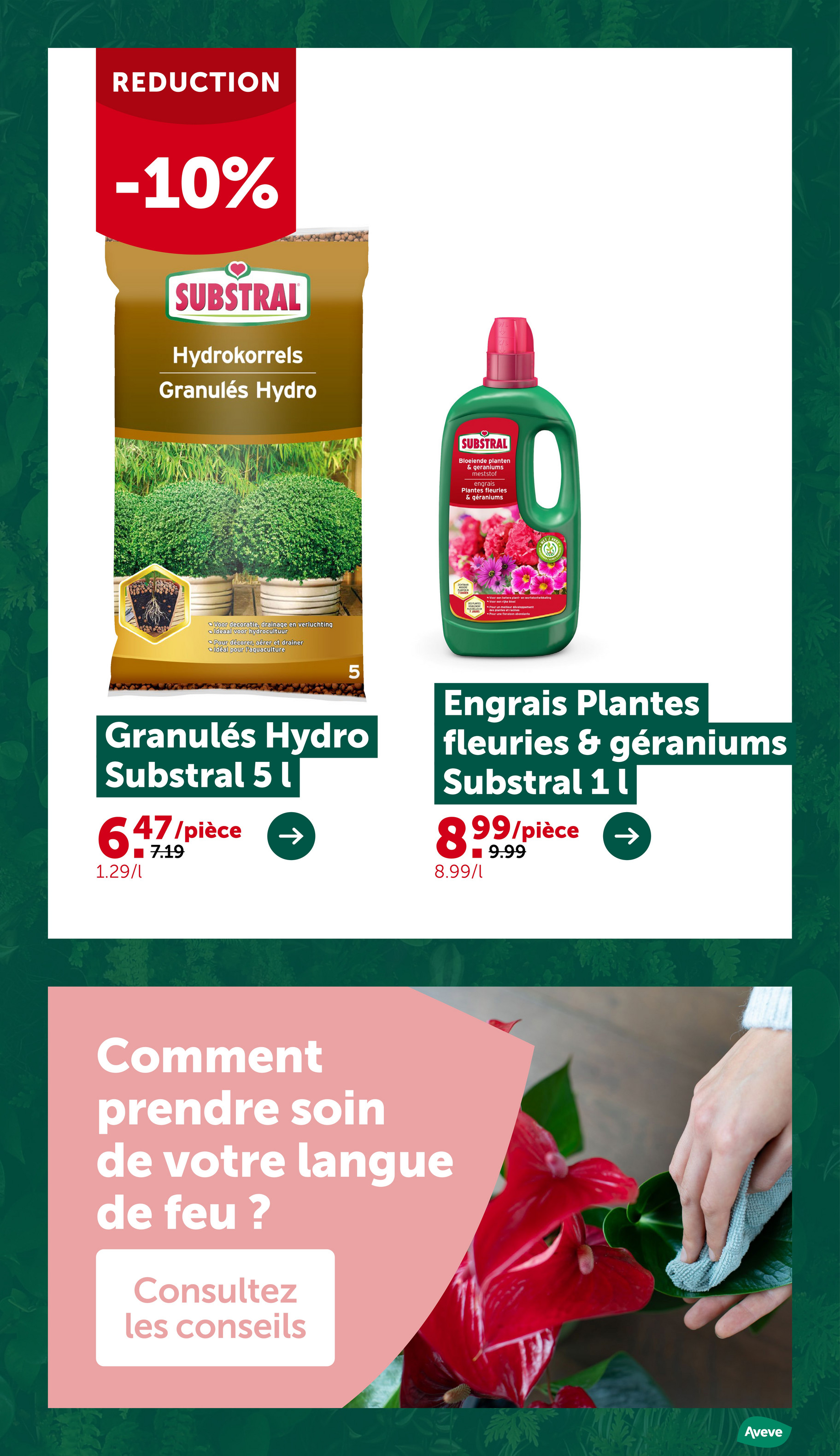 aveve - De Aveve folder geldig vanaf 10/12 t/m 21/12 - page: 11