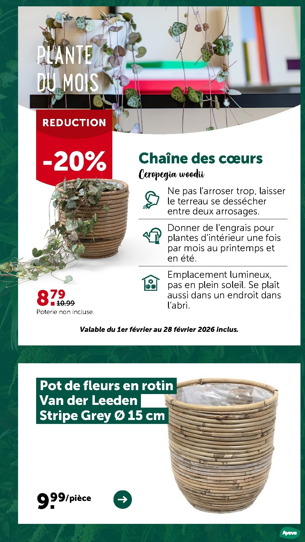 aveve - De Aveve folder geldig vanaf 11/02/2026 t/m 22/02/2026 - page: 12