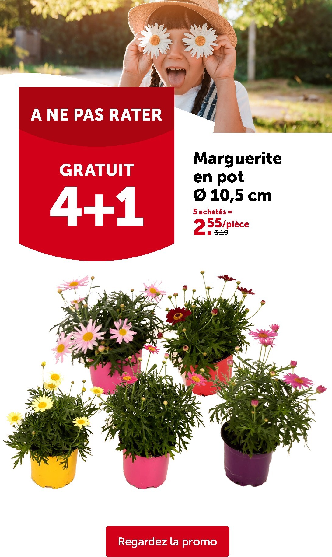 aveve - De Aveve folder geldig vanaf 25/03/2026 t/m 05/04/2026 - page: 10