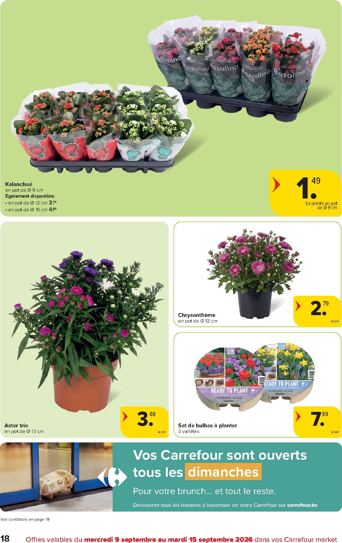 carrefour-market - Carrefour Market folder voor volgende week van woensdag 09/09/2026 tot dinsdag 15/09/2026 - page: 18