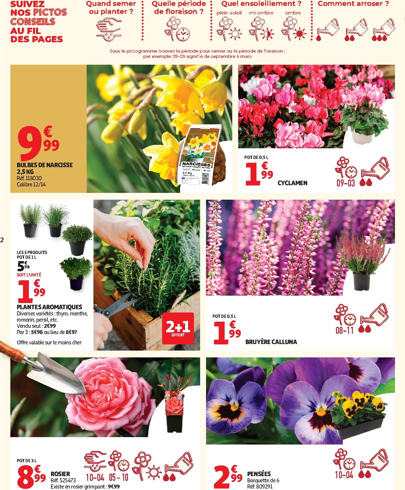 auchan - Auchan - Jardinage automne folder voor volgende week van dinsdag 22/09/2026 tot zondag 11/10/2026 - page: 2