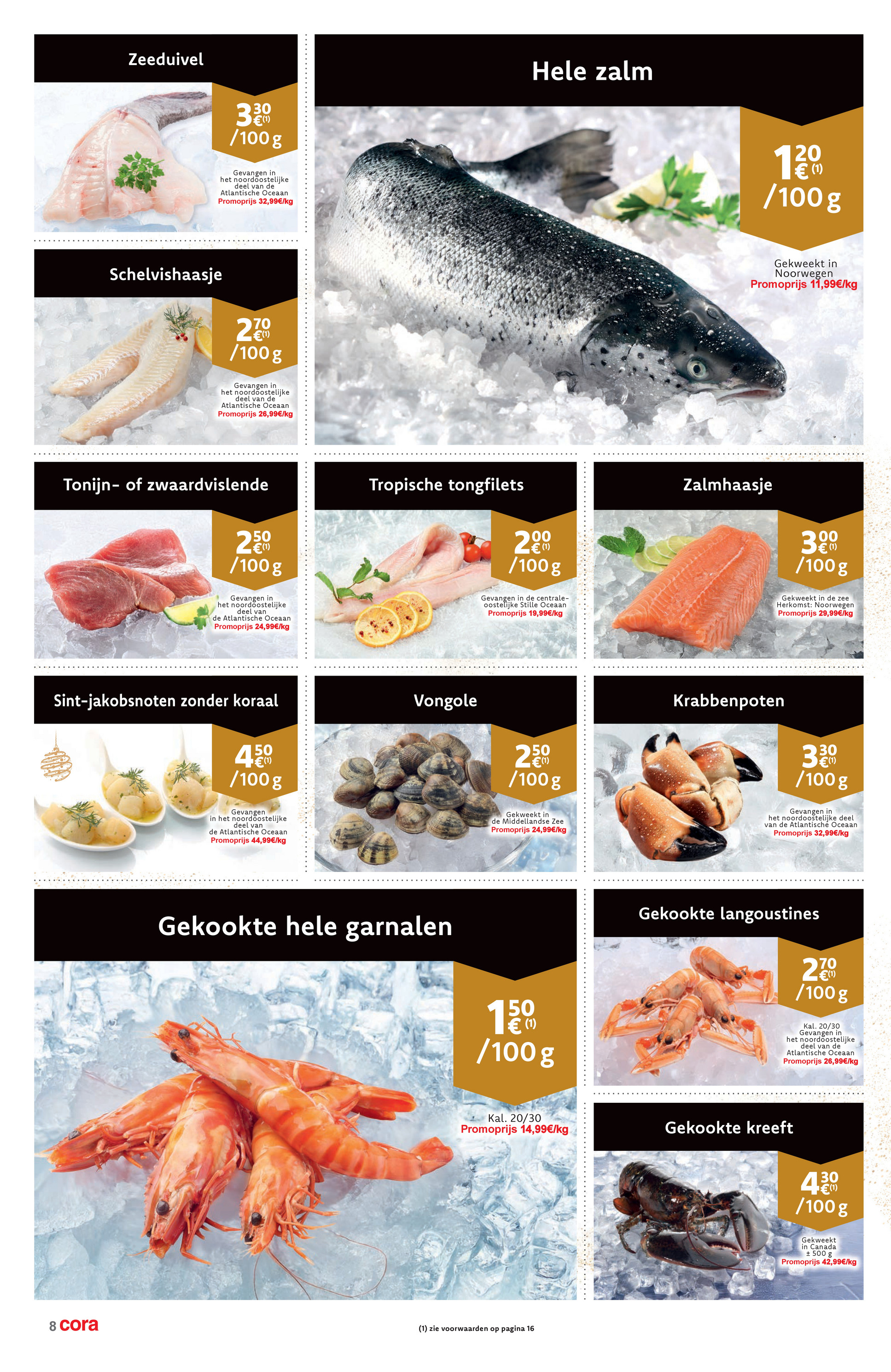 cora - De Cora - Prettige Feestdagen folder geldig vanaf 16/12 t/m 31/12 - page: 8