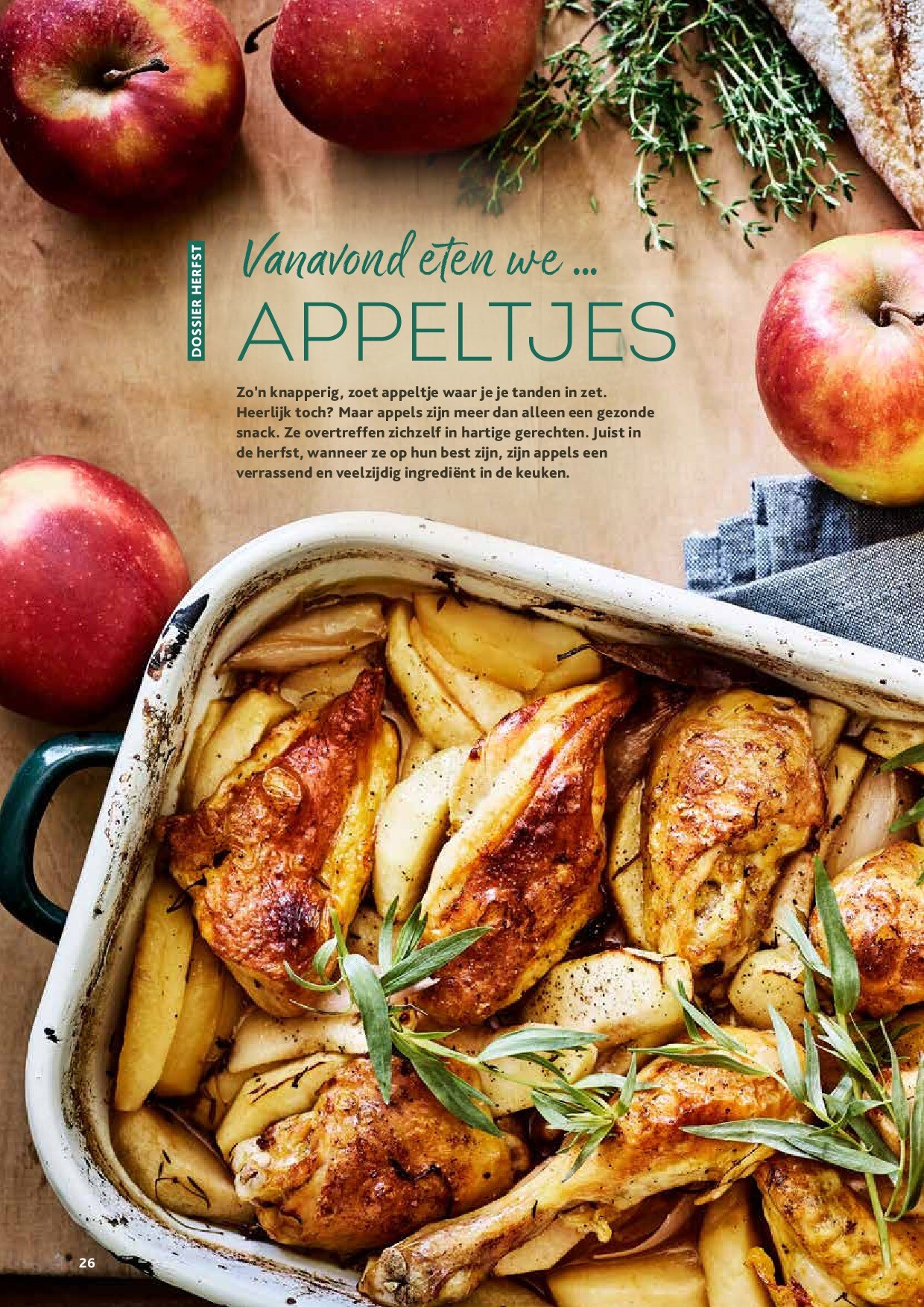 alvo - Alvo - Artisjok folder geldig vanaf 01/10 - 30/11 - page: 26