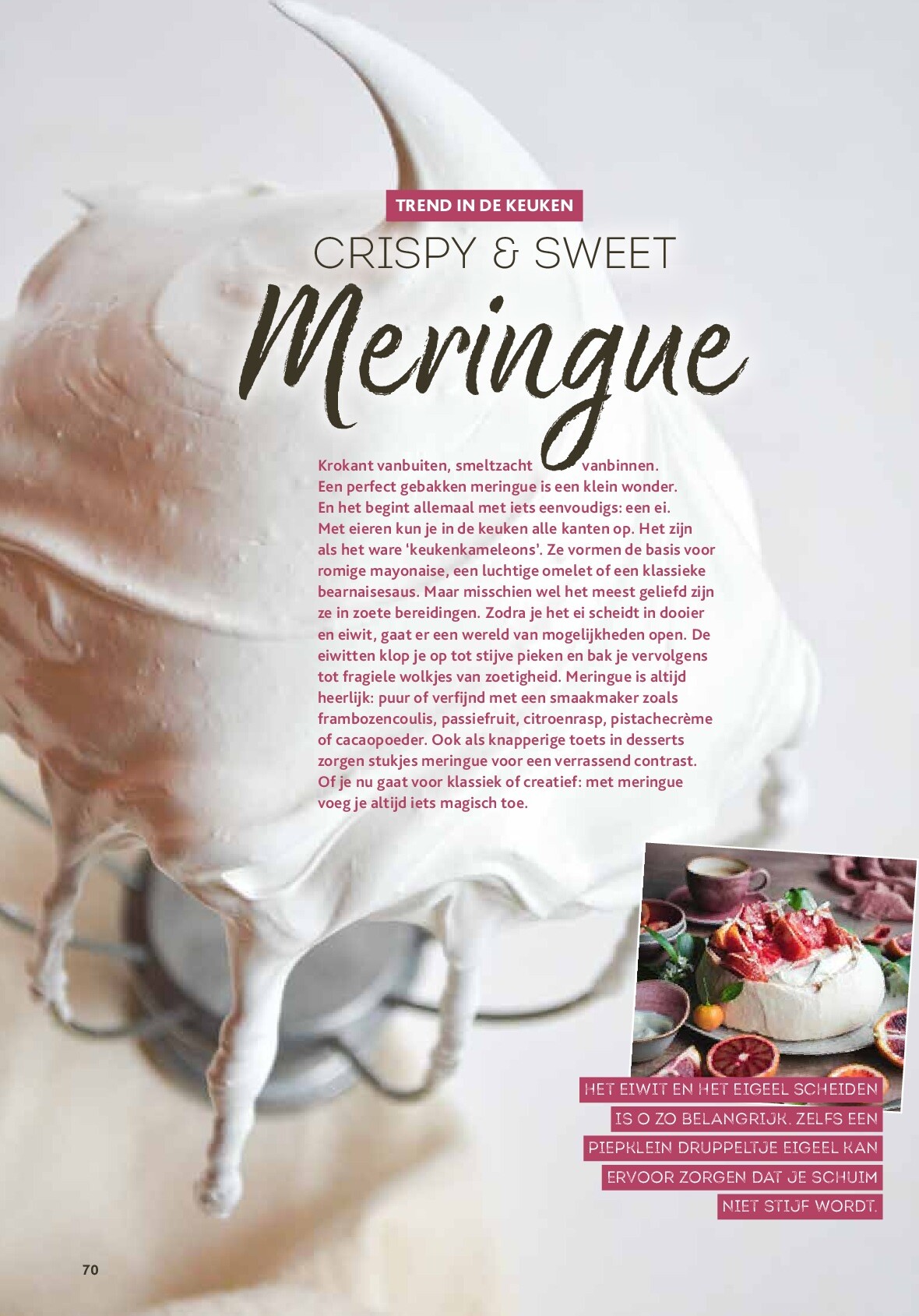 alvo - Alvo - Artisjok folder geldig vanaf 01/10 - 30/11 - page: 70