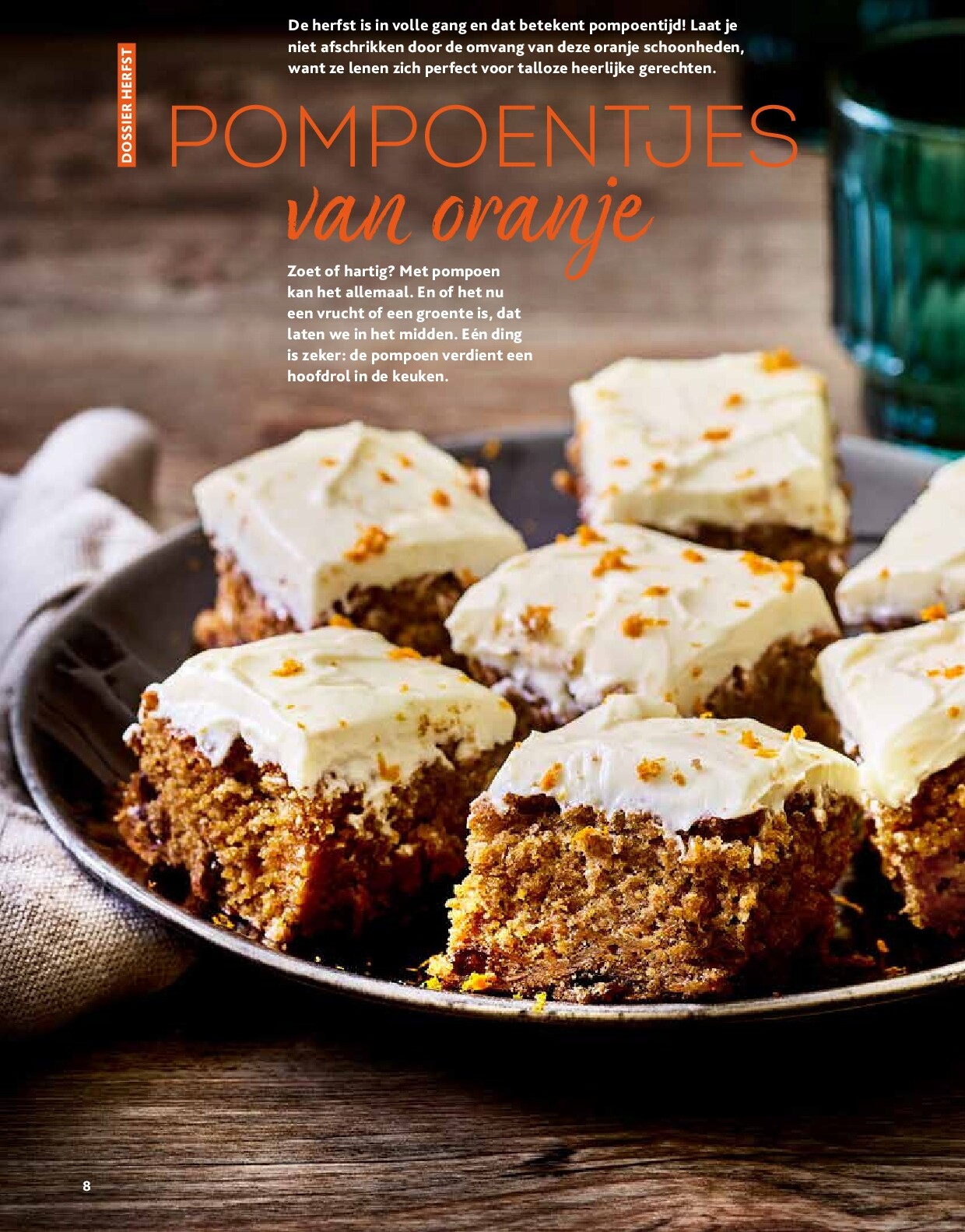 alvo - Alvo - Artisjok folder geldig vanaf 01/10 - 30/11 - page: 8