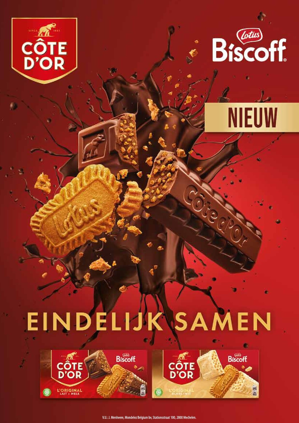 alvo - Alvo - Artisjok folder geldig vanaf 01/10 - 30/11 - page: 2