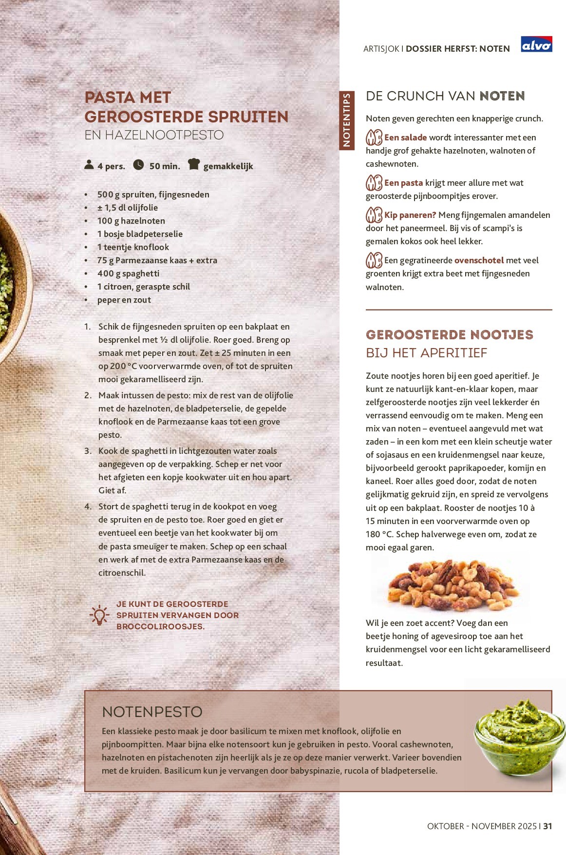 alvo - Alvo - Artisjok folder geldig vanaf 01/10 - 30/11 - page: 31
