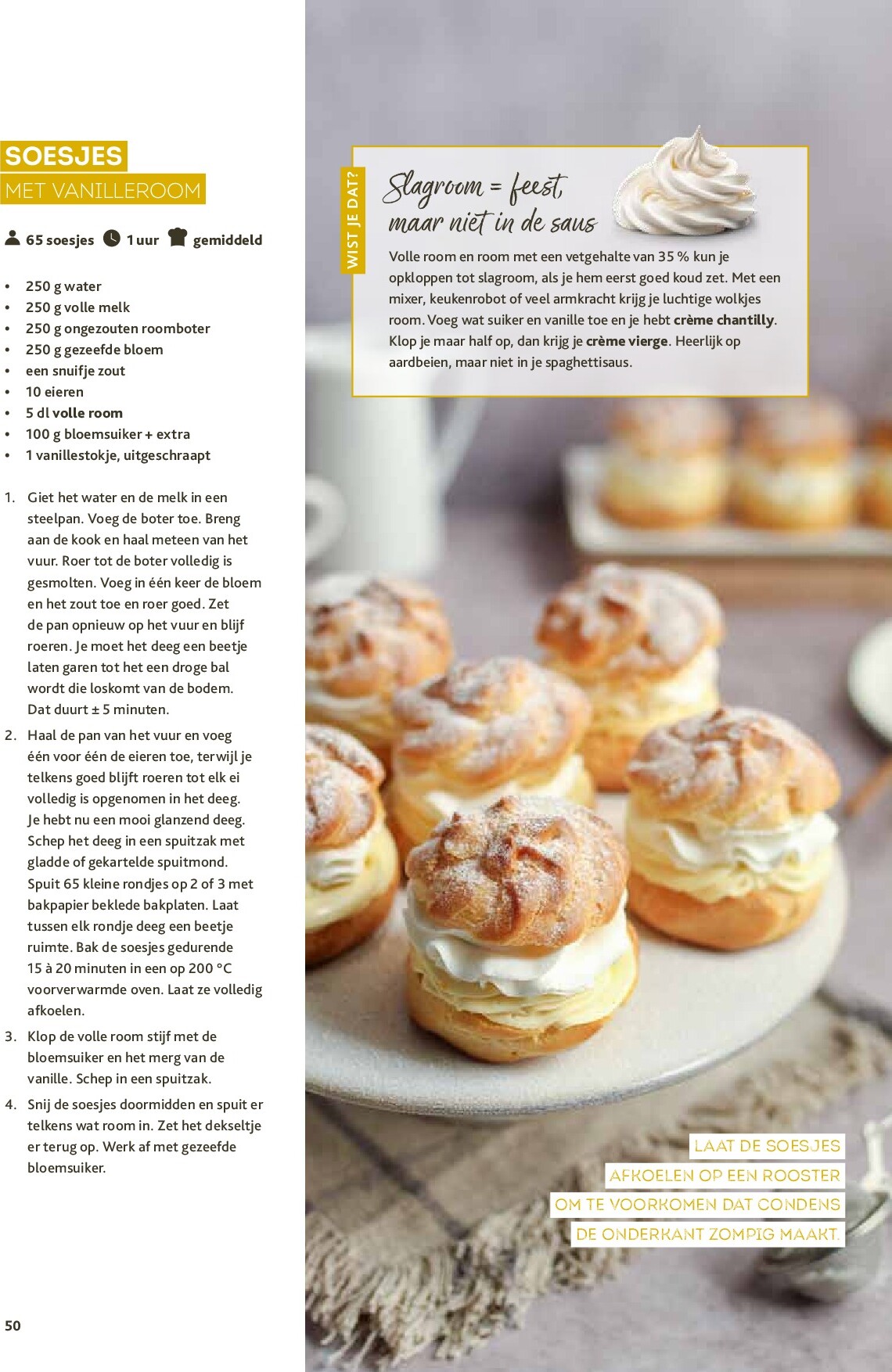 alvo - Alvo - Artisjok folder geldig vanaf 01/10 - 30/11 - page: 50