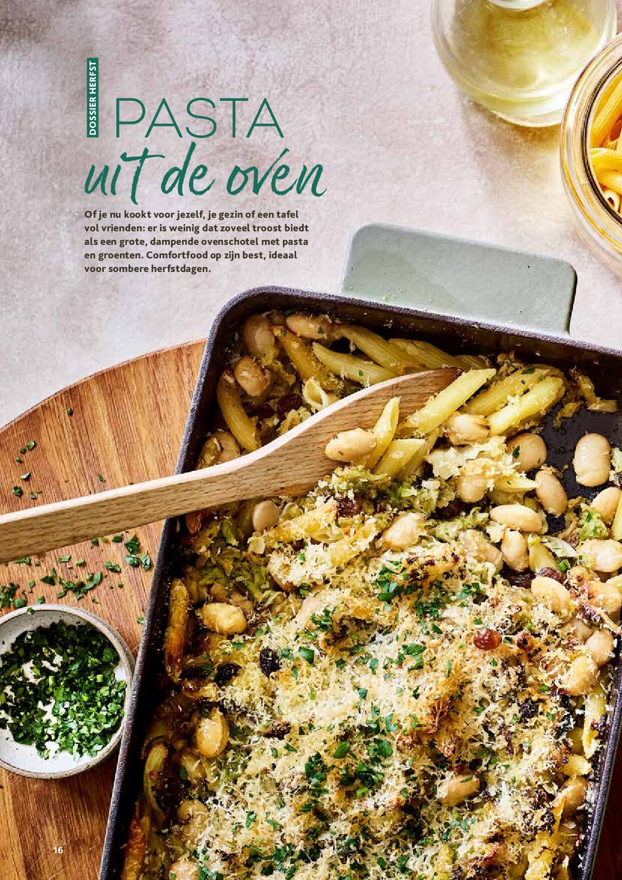 alvo - Alvo - Artisjok folder geldig vanaf 01/10 - 30/11 - page: 16