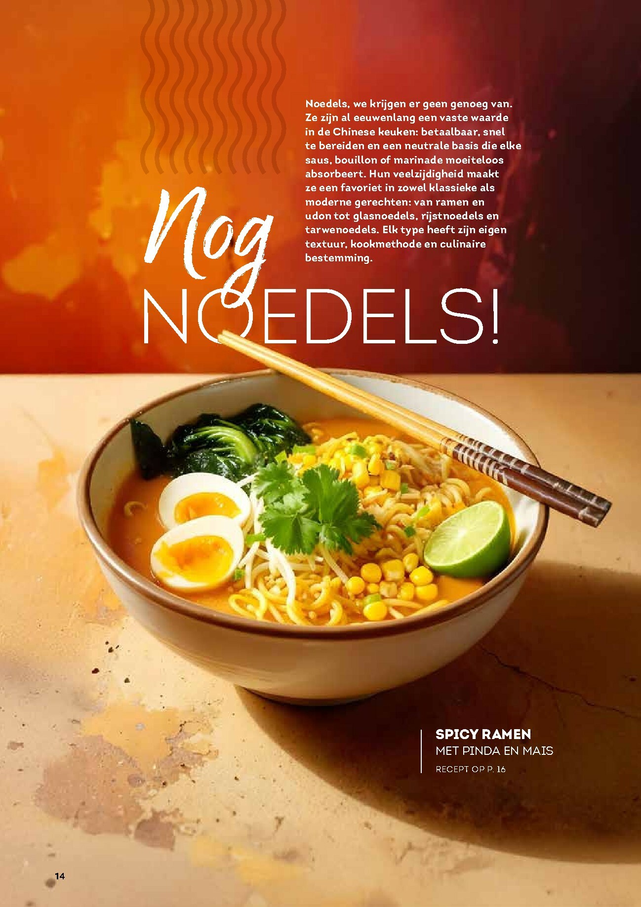 alvo - De Alvo - Gusto folder geldig vanaf 01/01 t/m 31/03 - page: 14