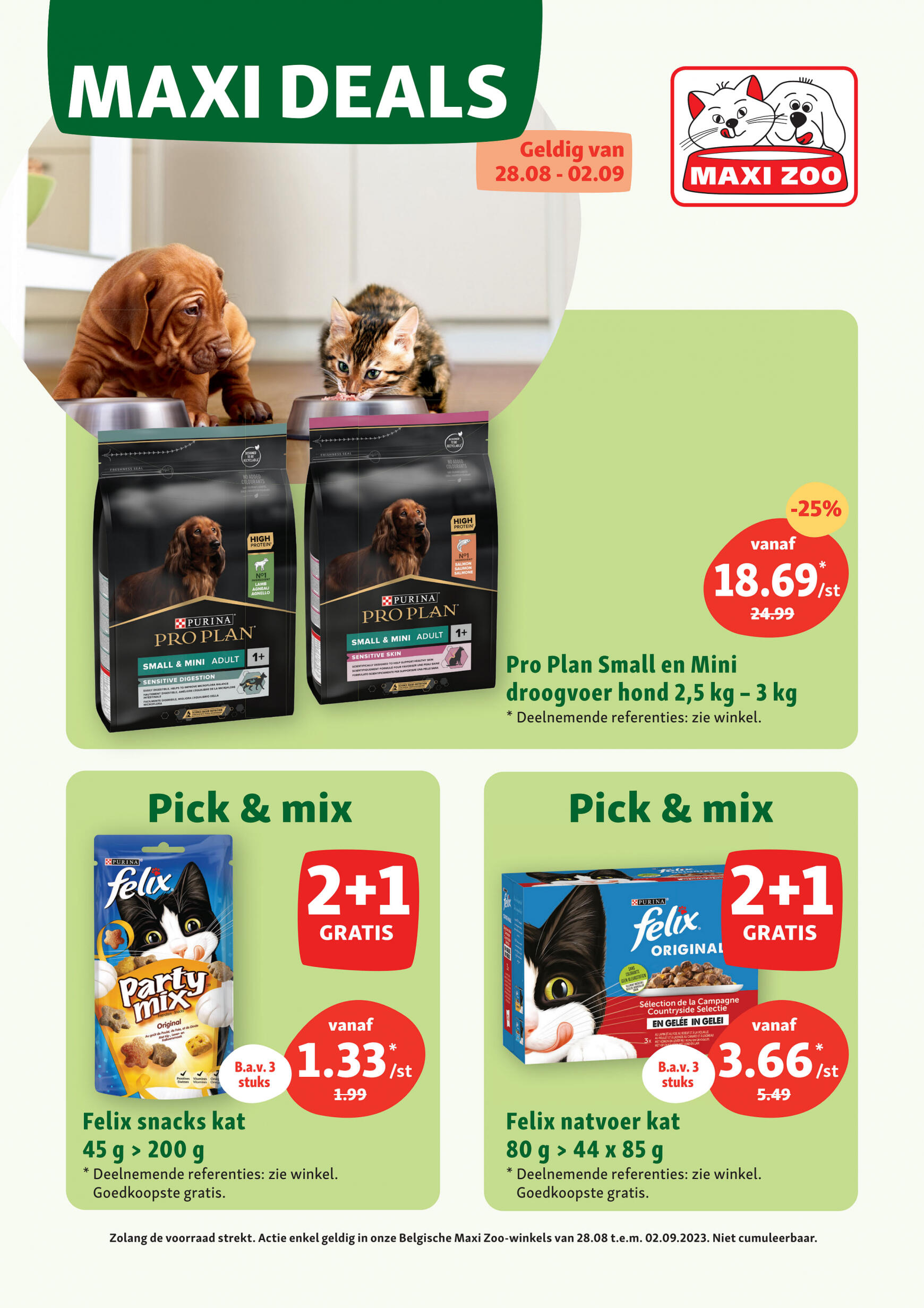 maxizoo - Maxizoo folder van Maandag 28.08.