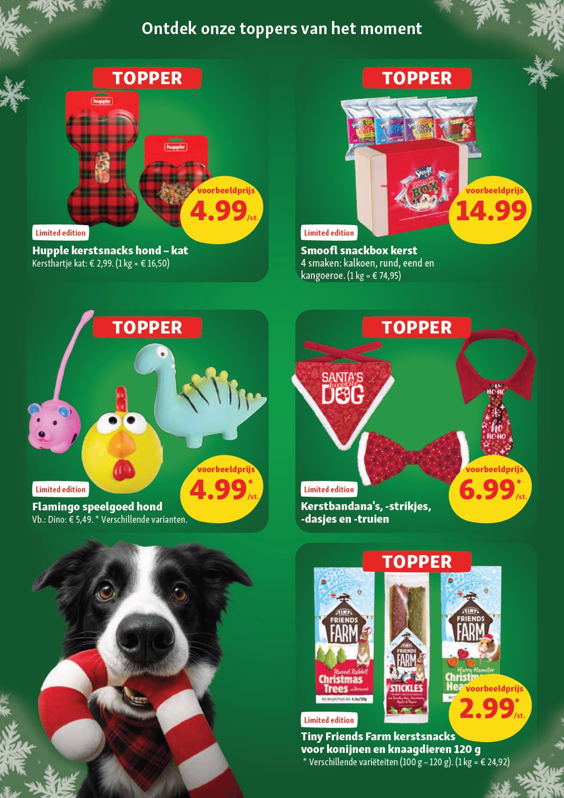 maxizoo - De Maxizoo folder geldig vanaf 03/12 t/m 06/01 - page: 10