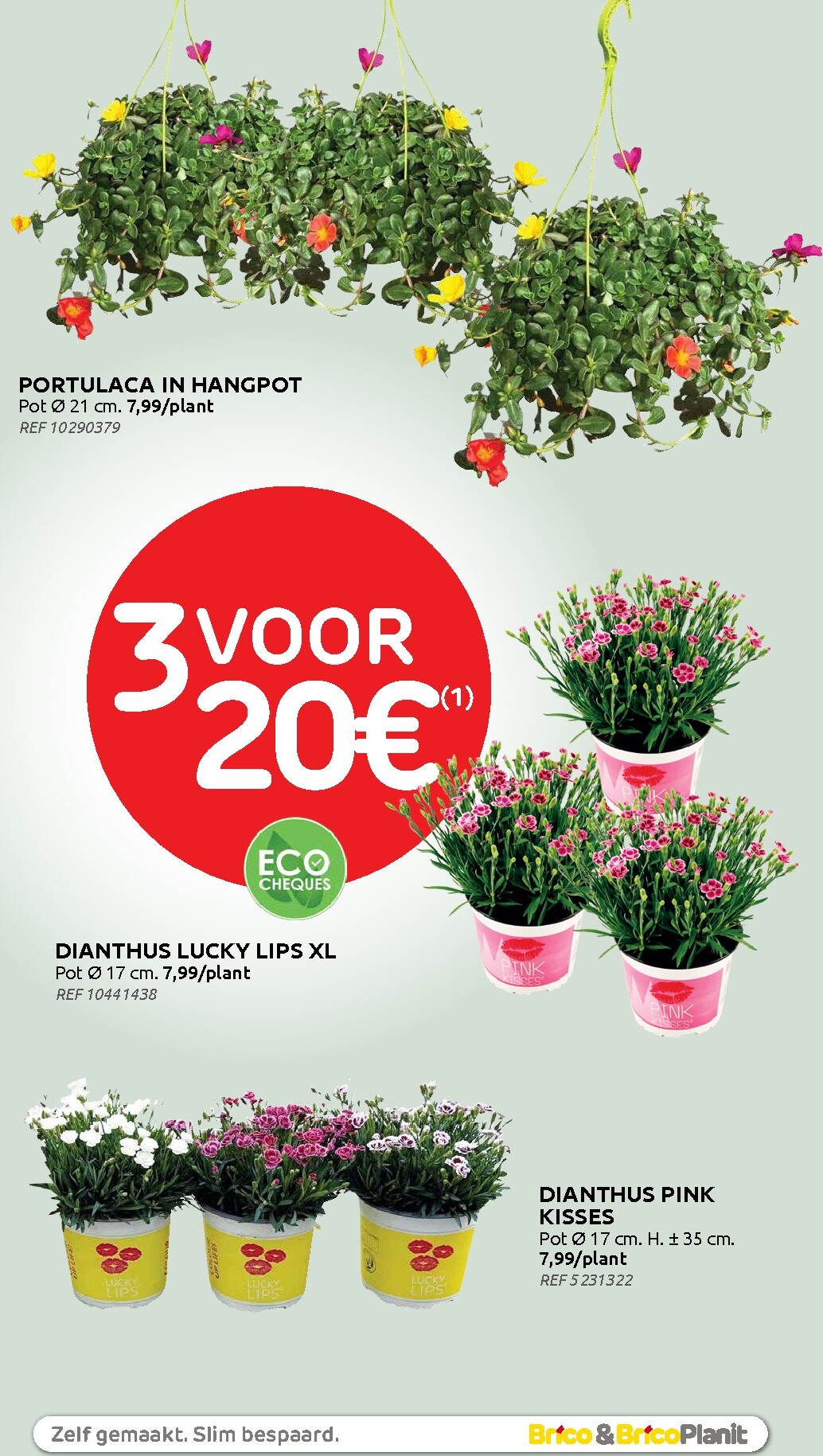 brico - Huidige Brico folder geldig van woensdag 01/07/2026 tot zondag 12/07/2026 - page: 60
