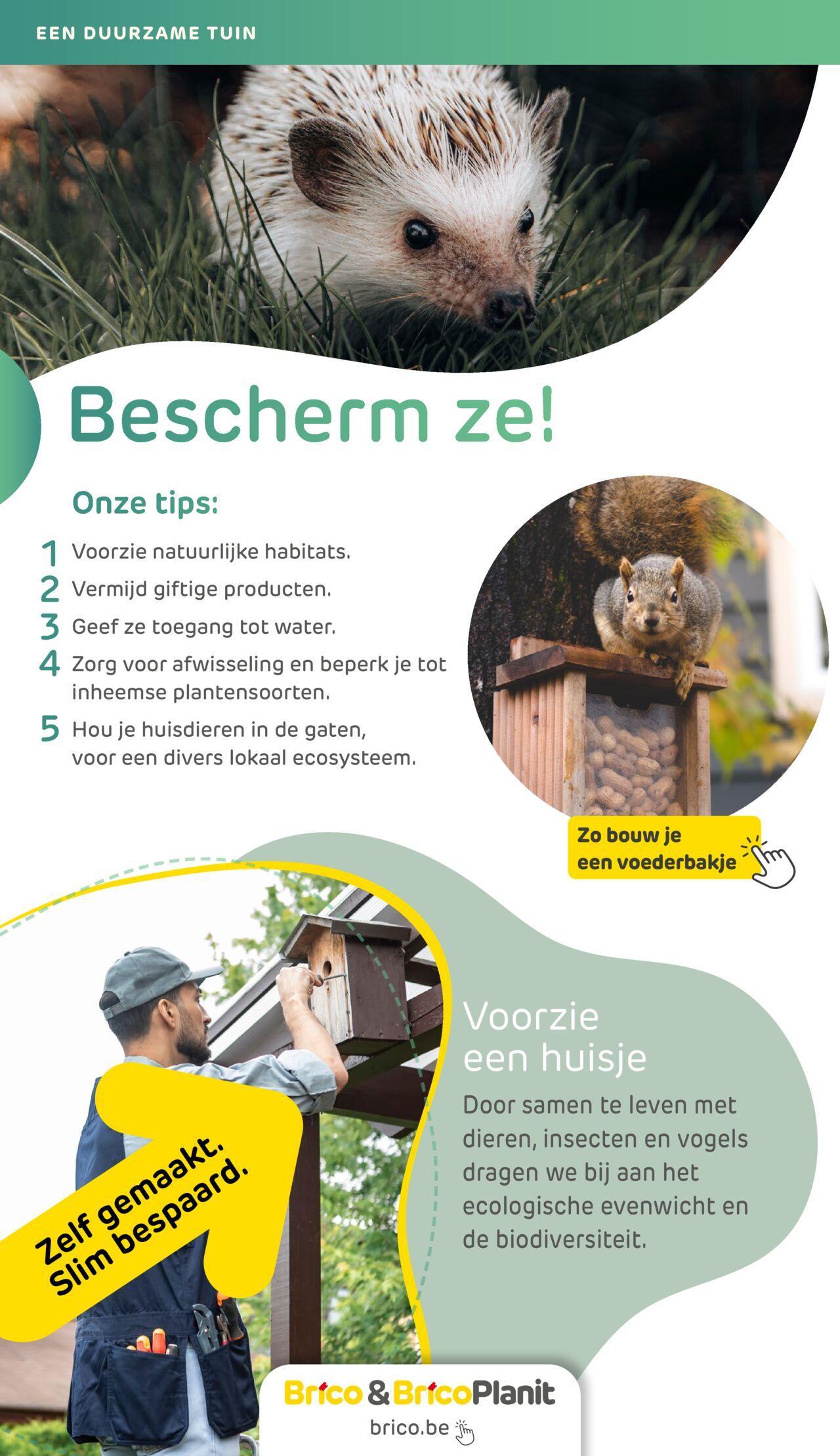 brico - Brico Duurzaamheidsmagazine vanaf dinsdag 20/02/2024 - page: 63 brico - Brico Duurzaamheidsmagazine vanaf dinsdag 20/02/2024 - page: 63